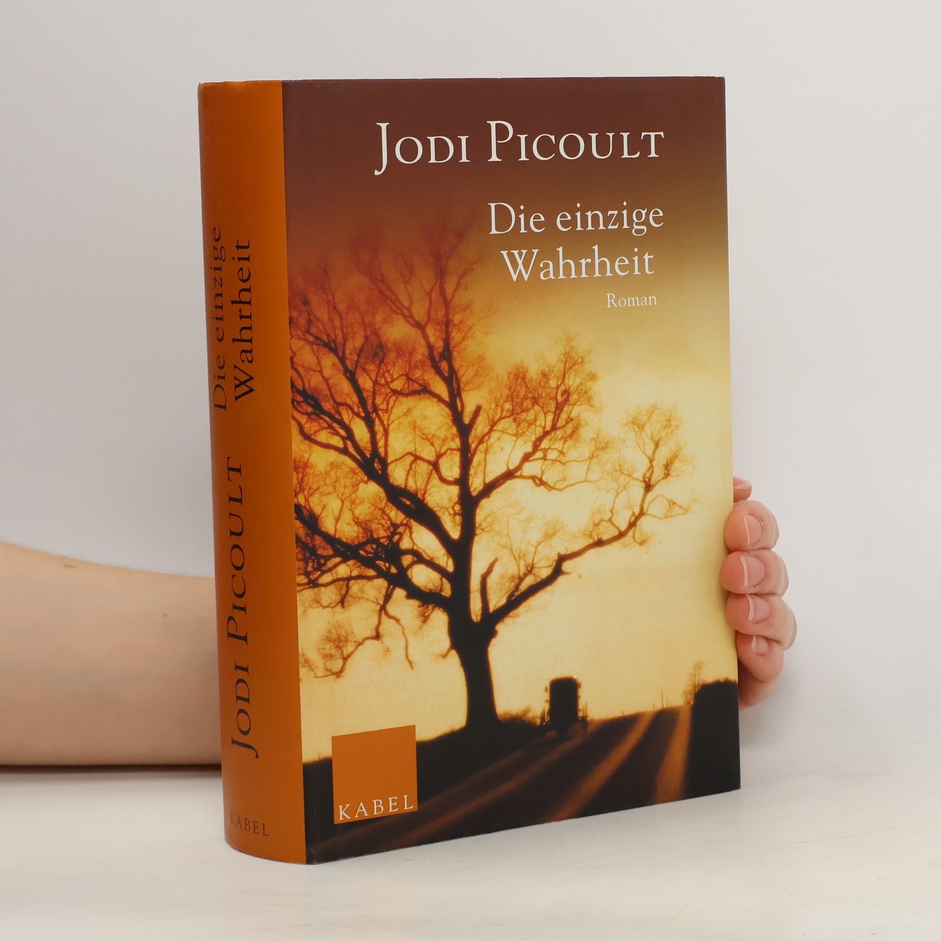 Jodi Picoult Die einzige Wahrheit