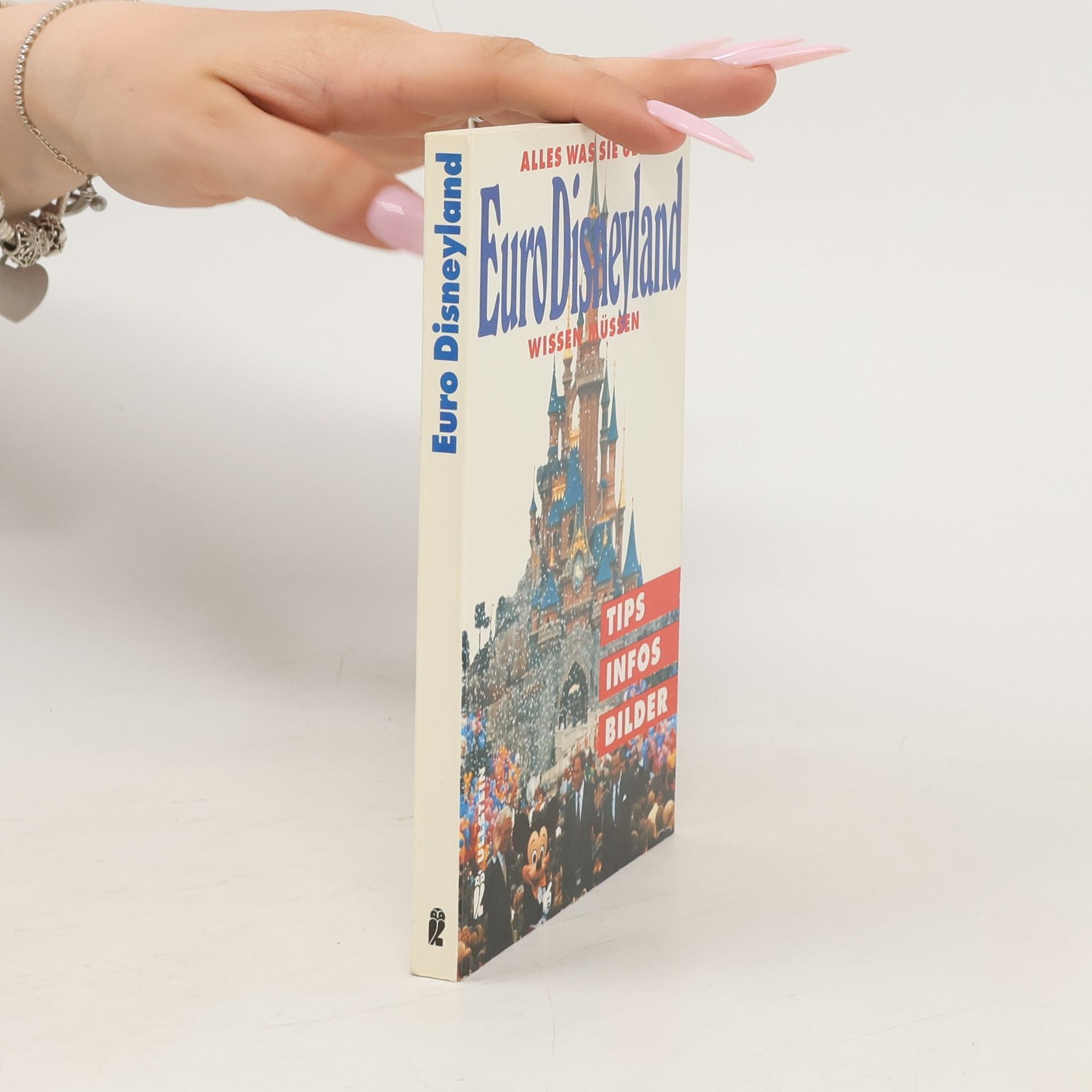 Franz Lerchenmüller Alles, was Sie über Euro-Disneyland wissen müssen