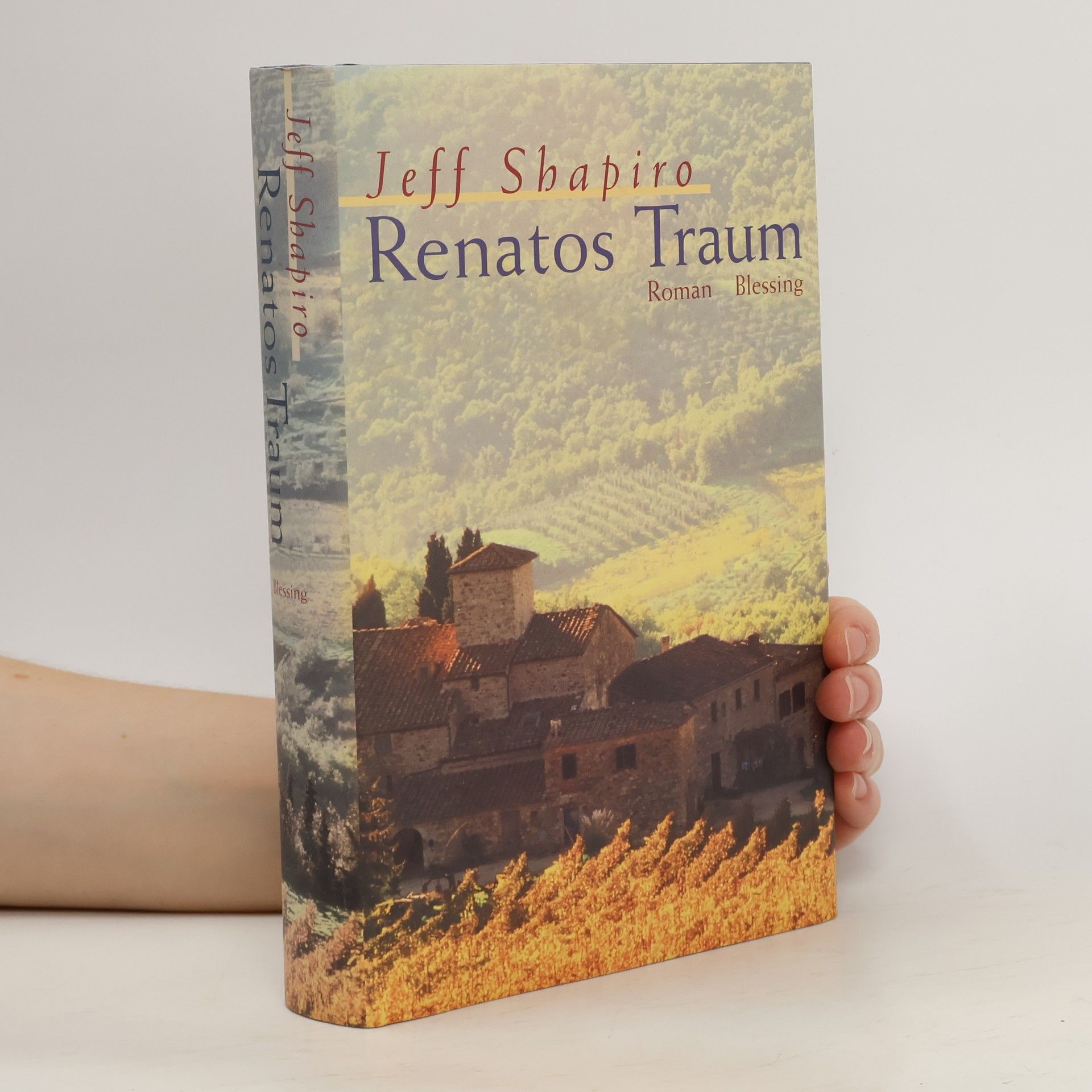 Jeff Shapiro Renatos Traum