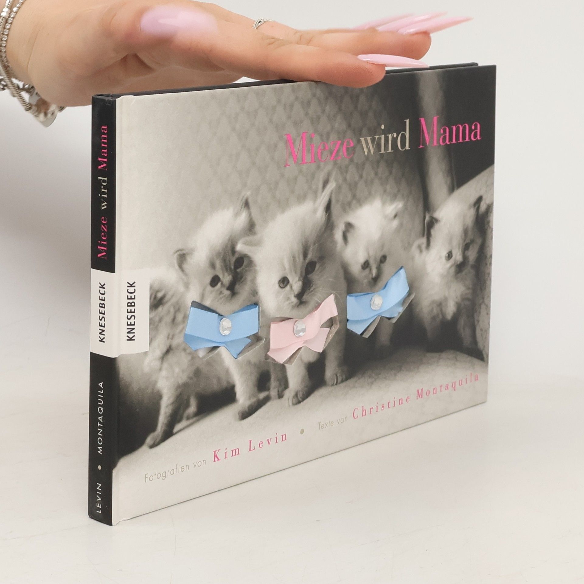 Kim Levin Mieze wird Mama