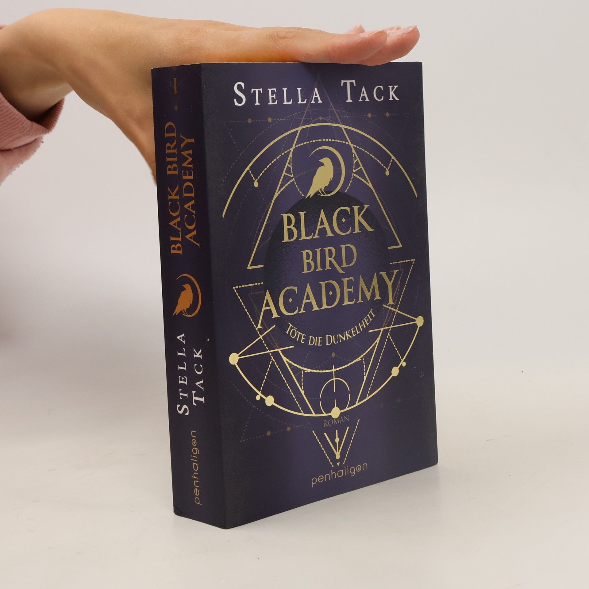 Stella Tack Black Bird Academy - Töte die Dunkelheit