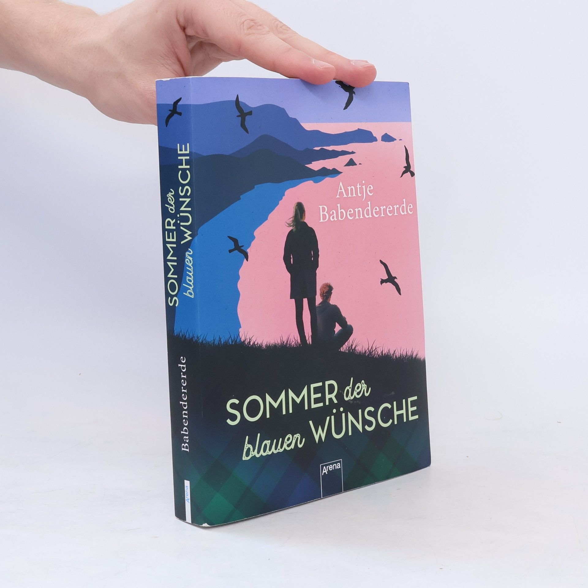 Antje Babendererde Sommer der blauen Wünsche