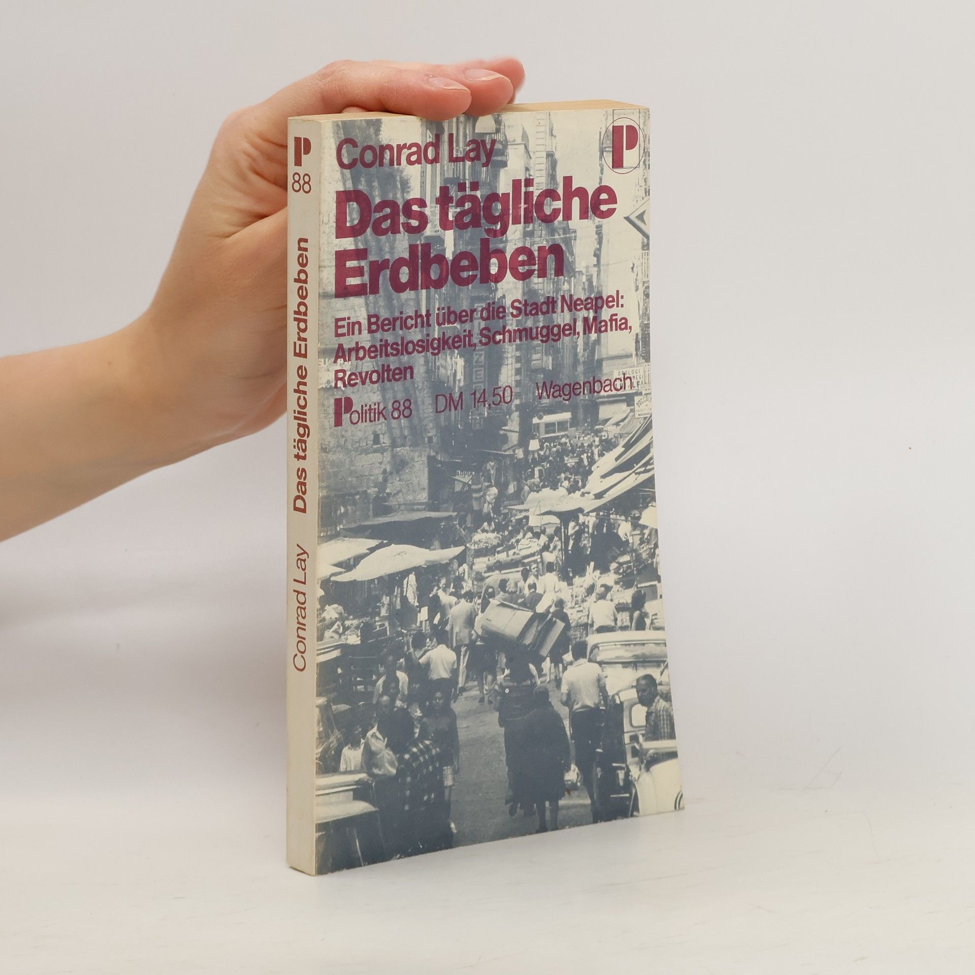 Conrad Lay Das tägliche Erdbeben