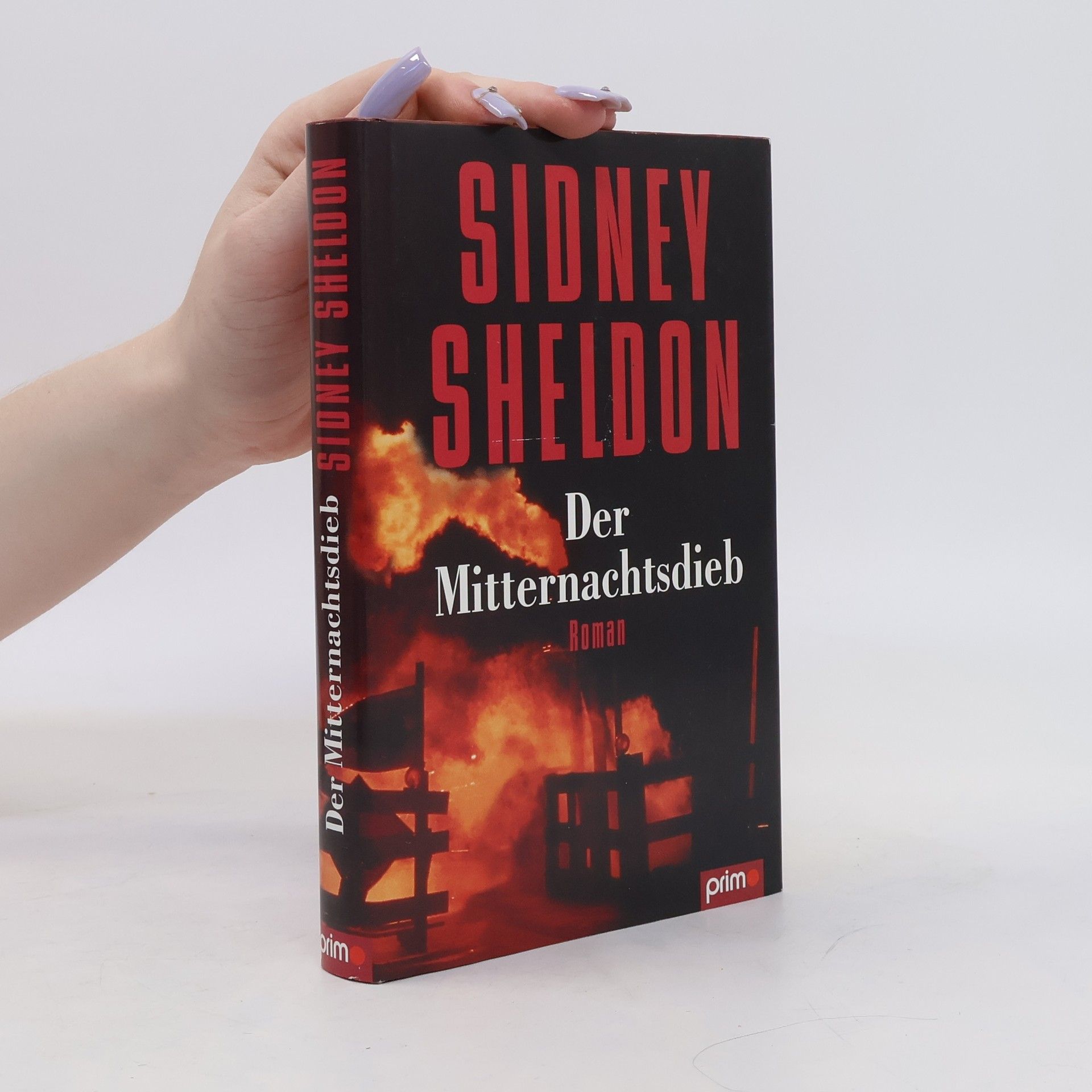 Sidney Sheldon Der Mitternachtsdieb