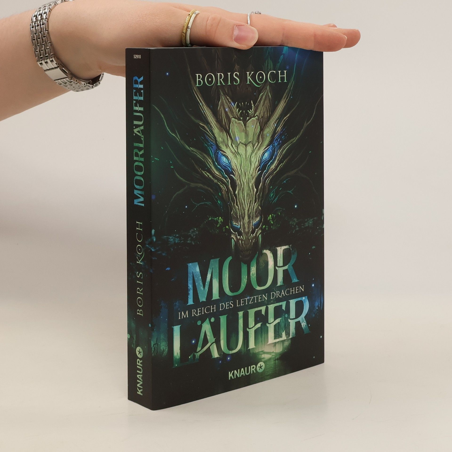 Boris Koch Moorläufer. Im Reich des letzten Drachen