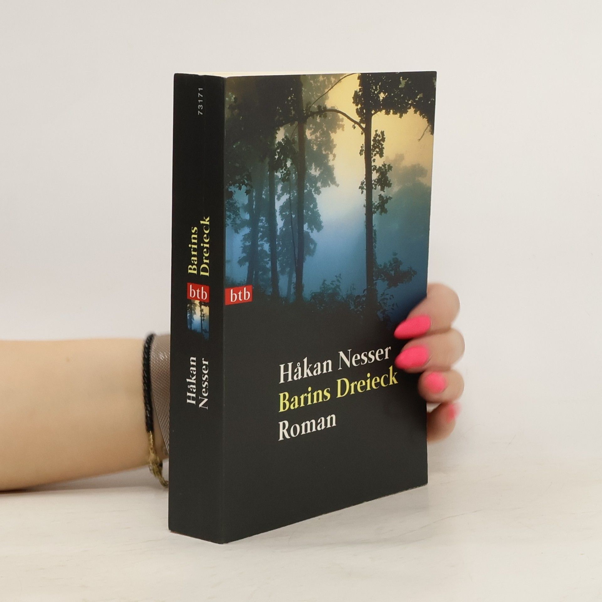 Håkan Nesser Barins Dreieck
