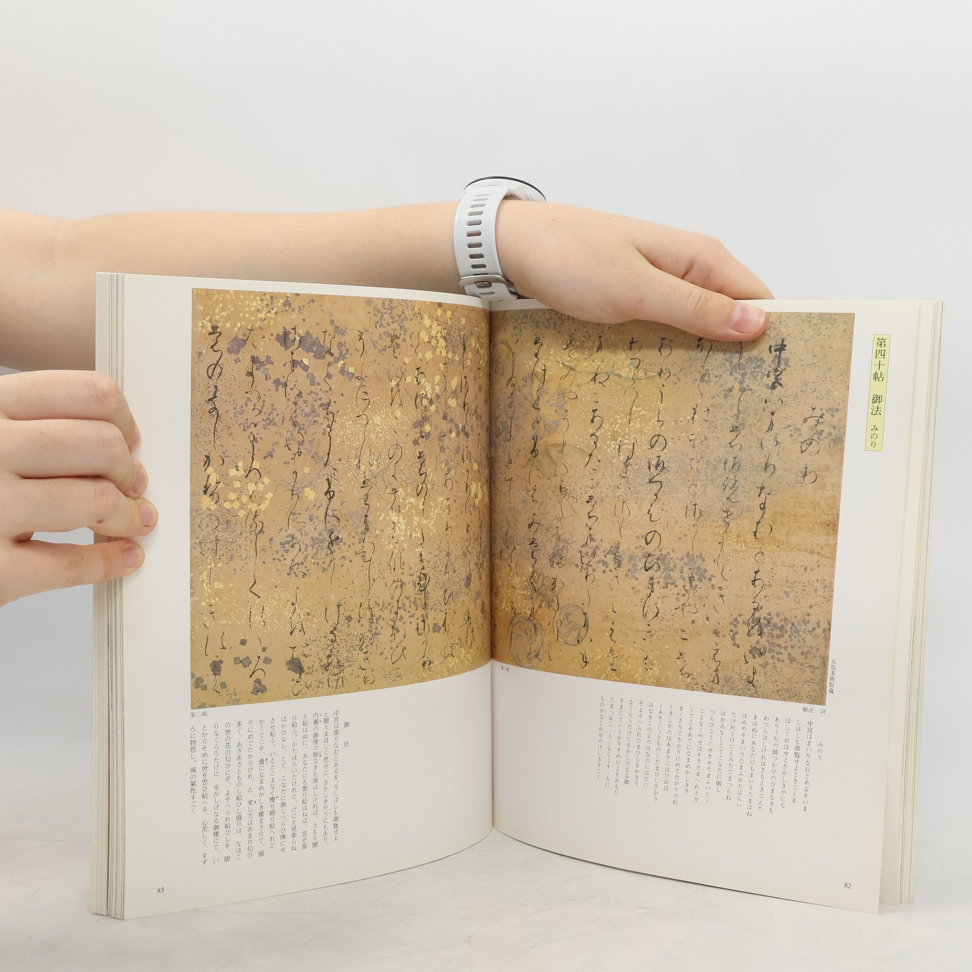 AA.VV. 源氏物語絵巻. 徳川美術館蔵品か2/Picture Scroll of the Tale of Genji. Treasures from the Tokugawa Art Museum 2