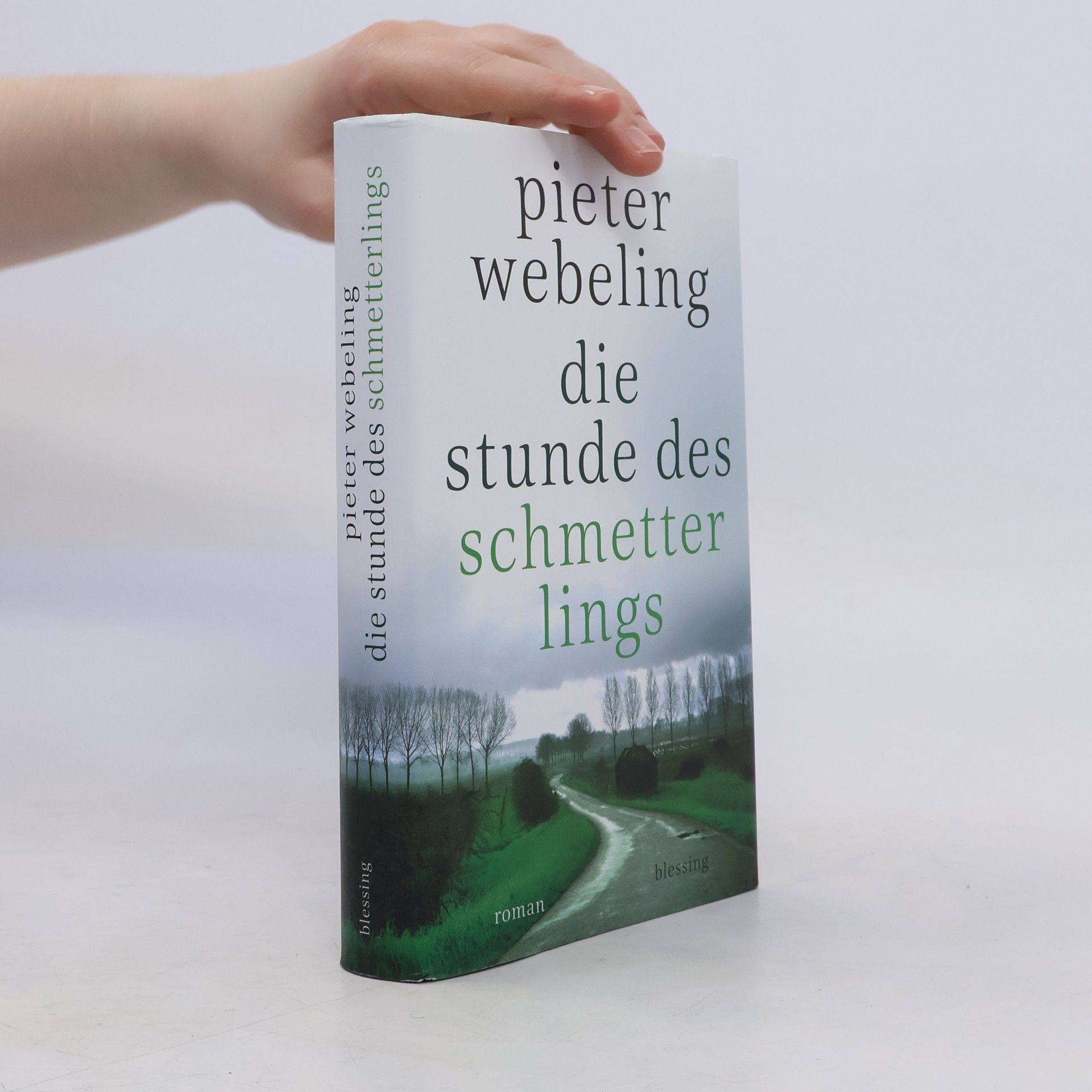 Pieter Webeling Die Stunde des Schmetterlings