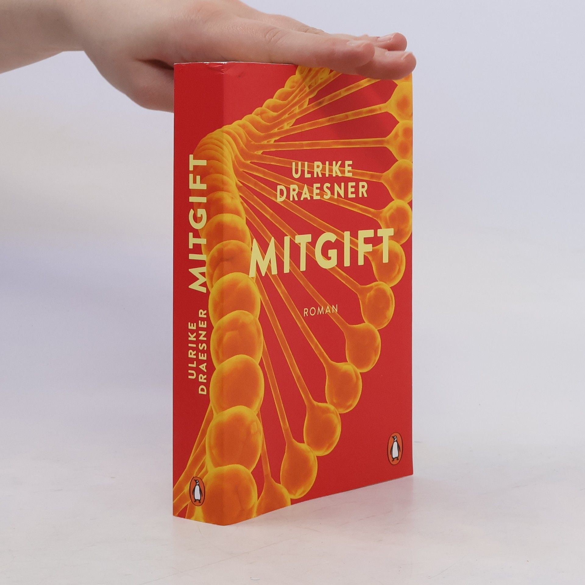 Ulrike Draesner Mitgift
