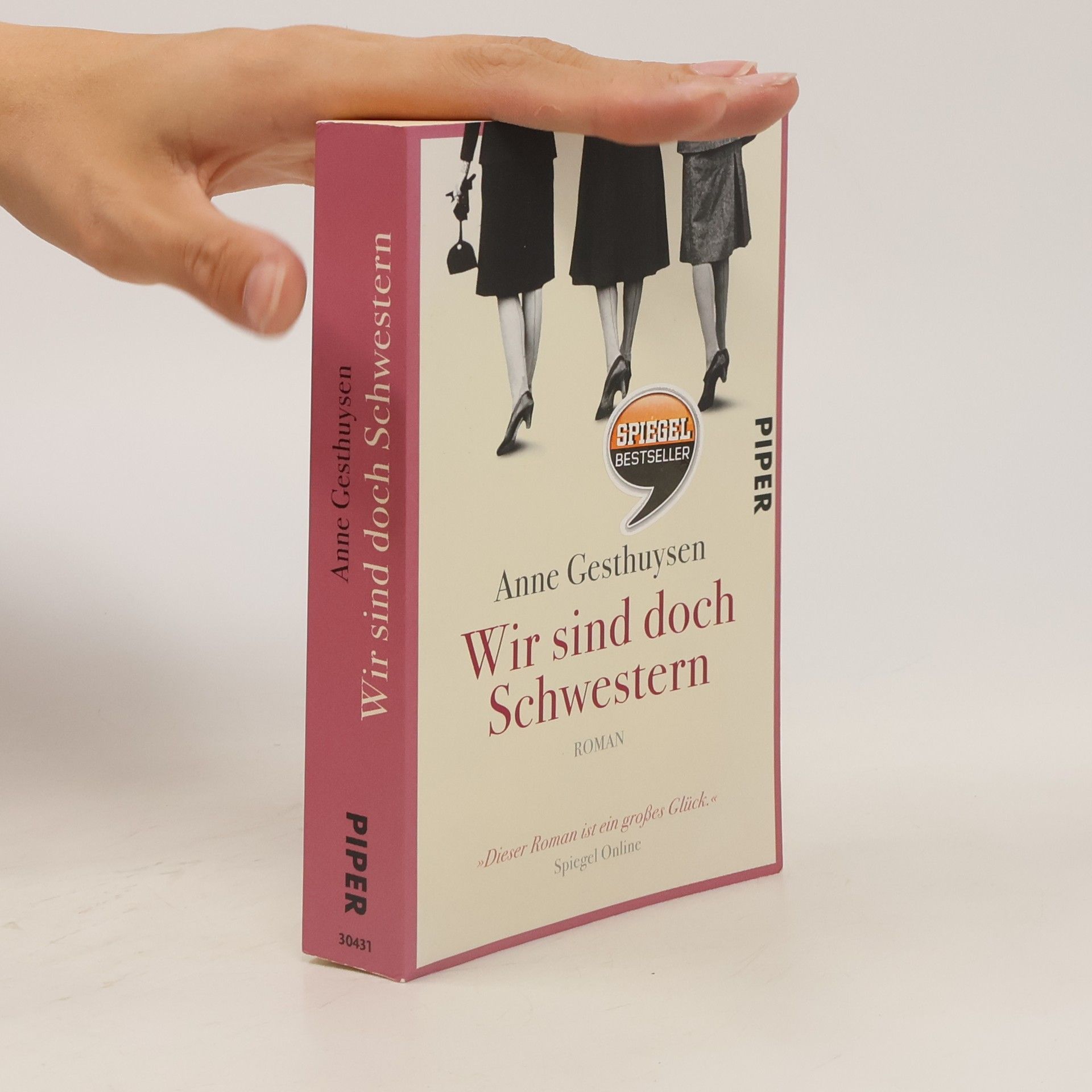 Anne Gesthuysen Wir sind doch Schwestern