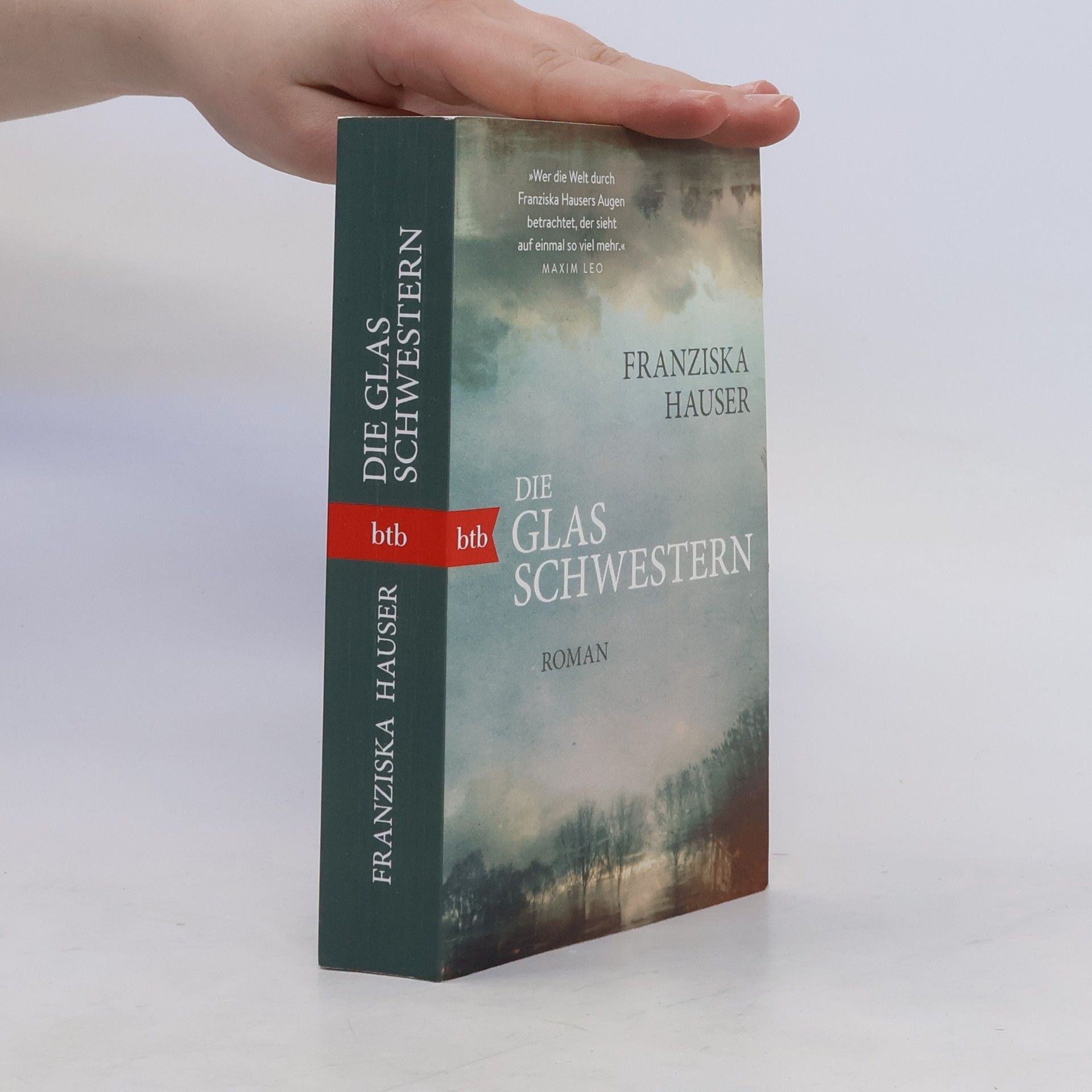 Franziska Hauser Die Glasschwestern
