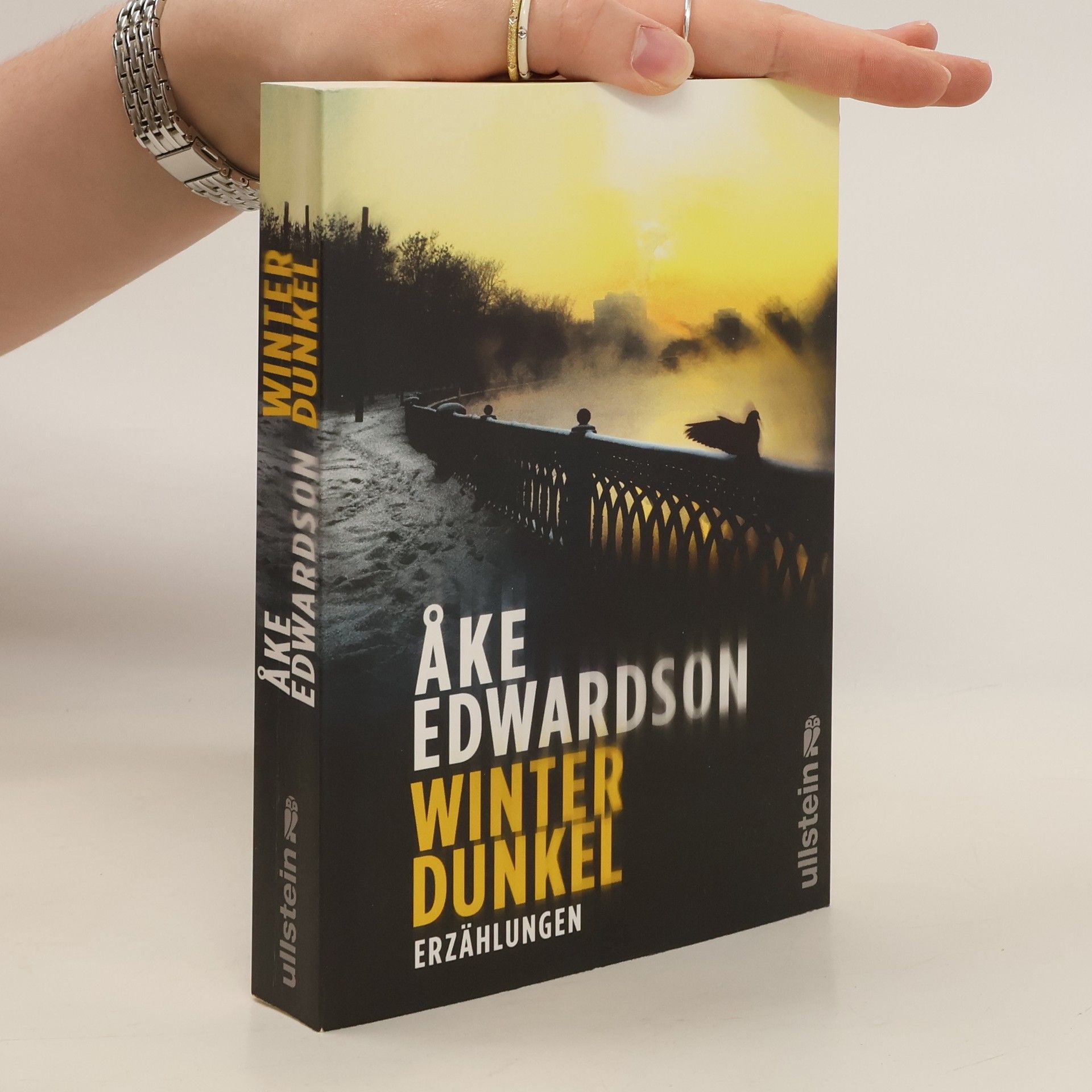 Åke Edwardson Winterdunkel
