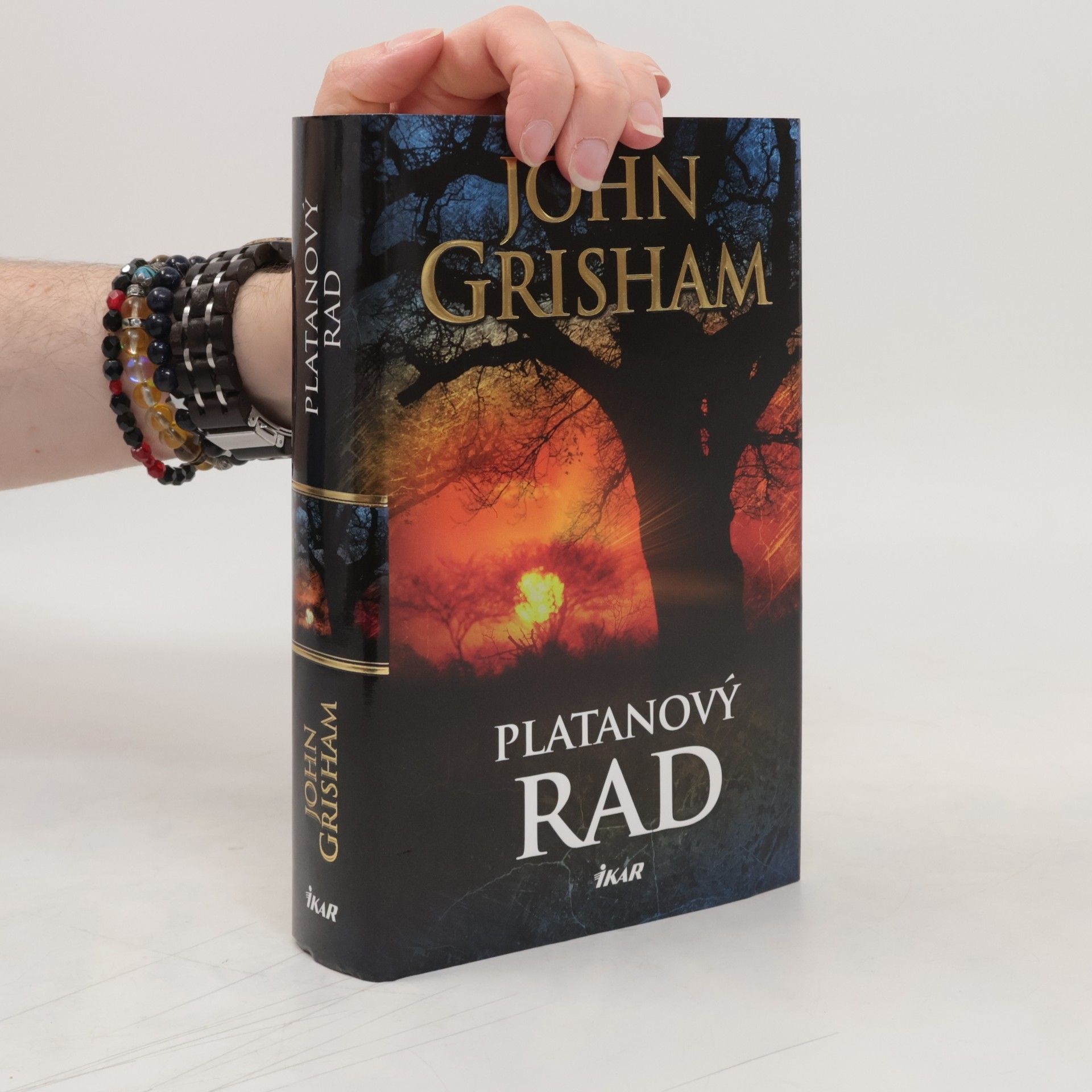 John Grisham Platanový rad