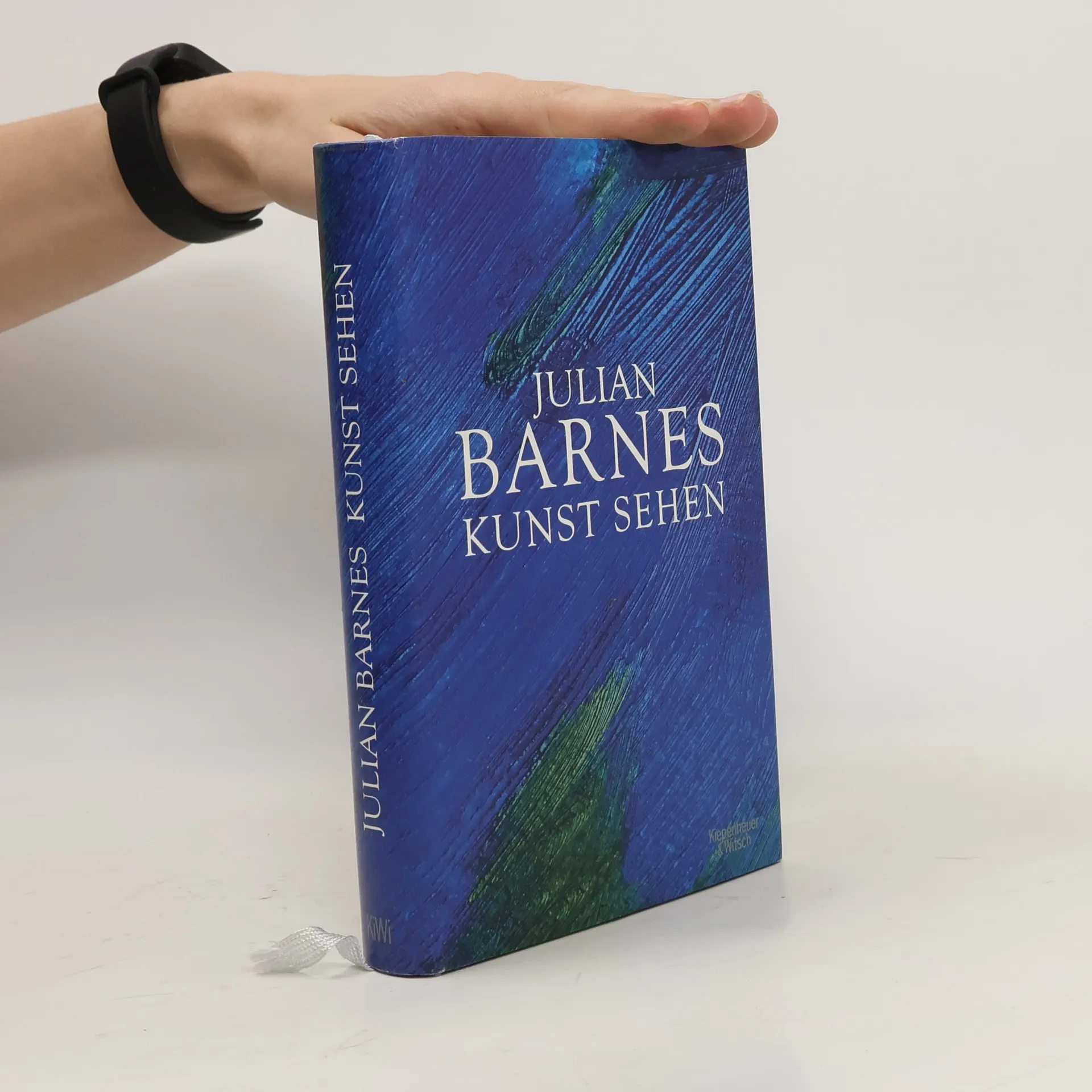 Kunst sehen | Book | Hardcover | Julian Barnes | DE