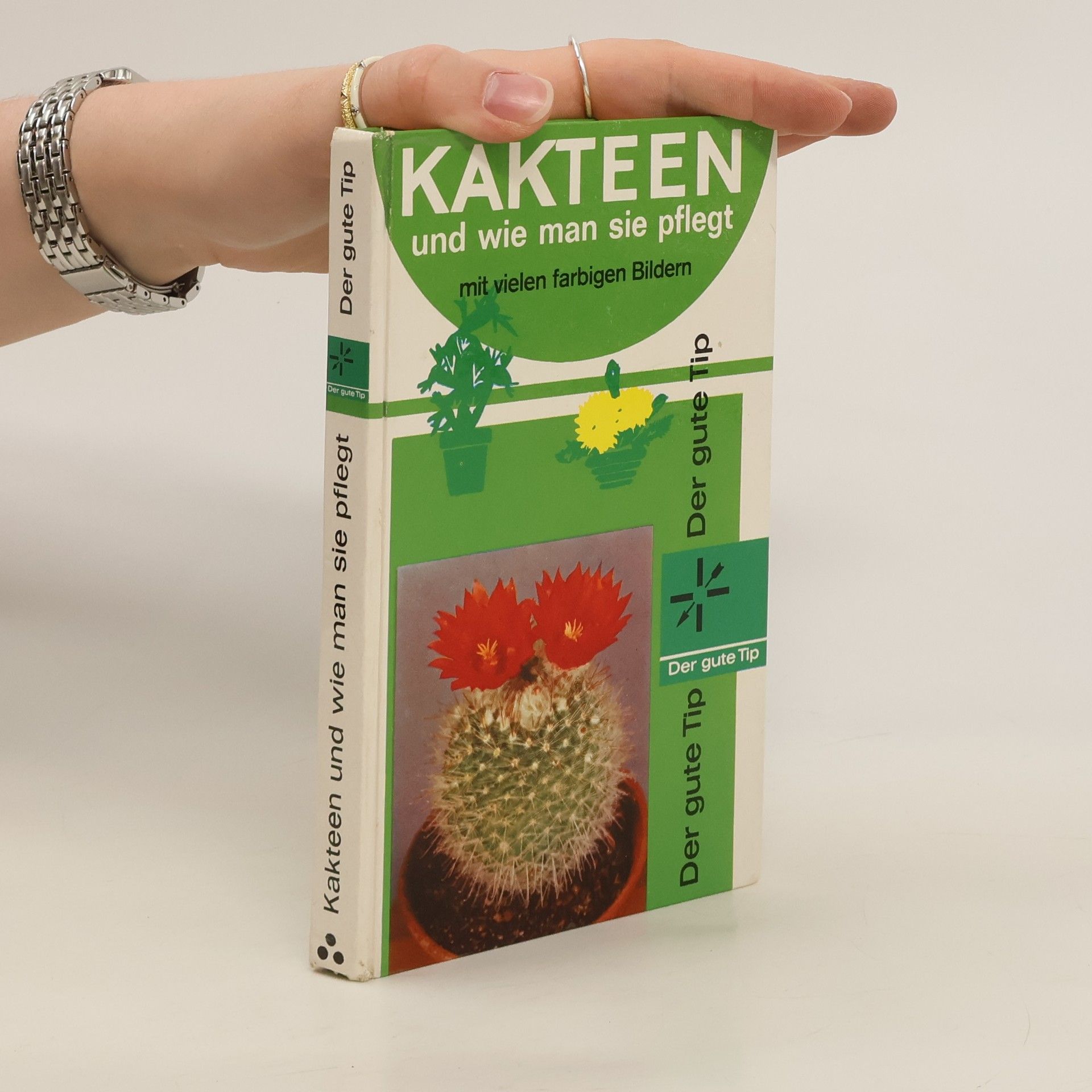 kolektiv Kakteen und wie man sie pflegt