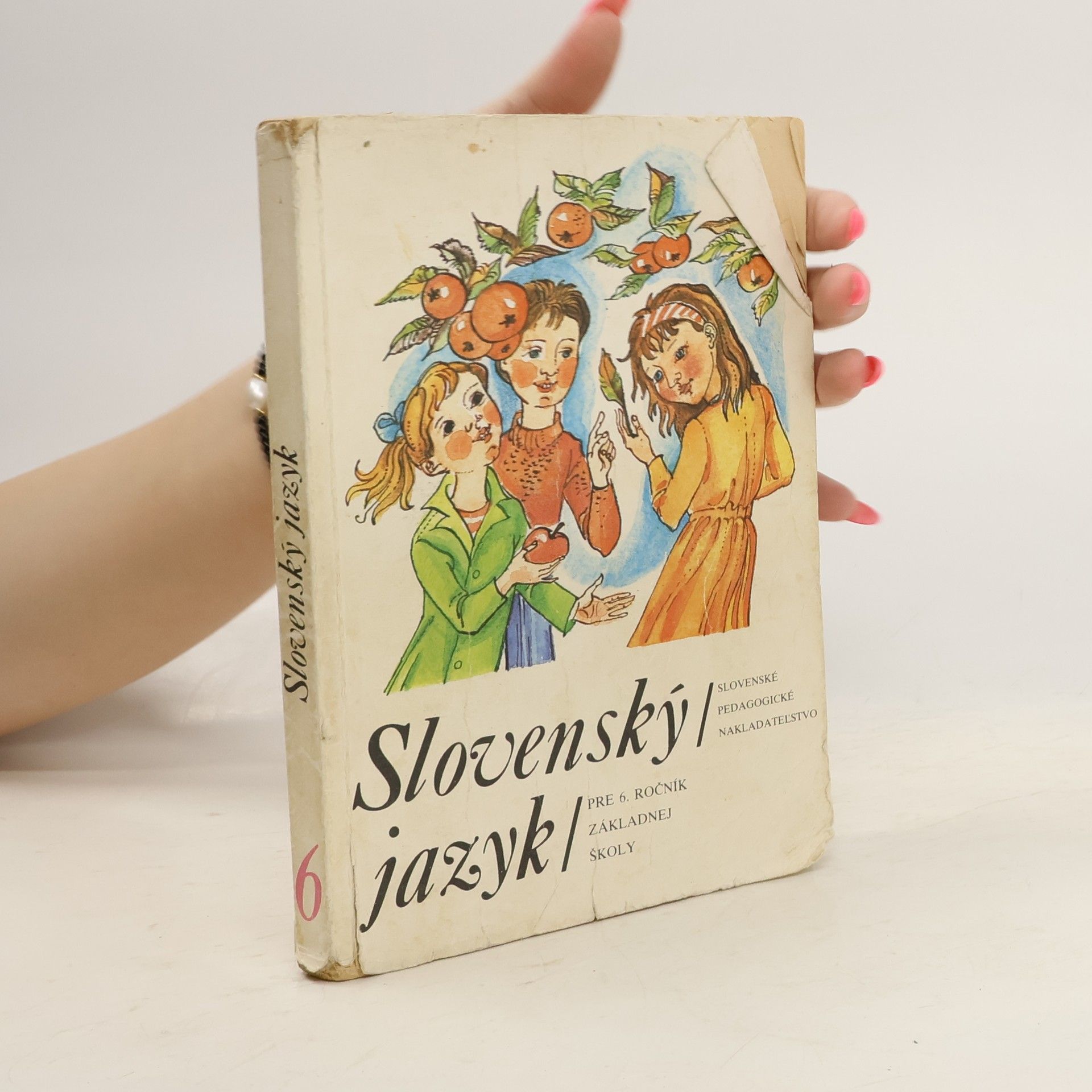 Autorenkollektiv Slovenský jazyk pre 6. ročník základnej školy