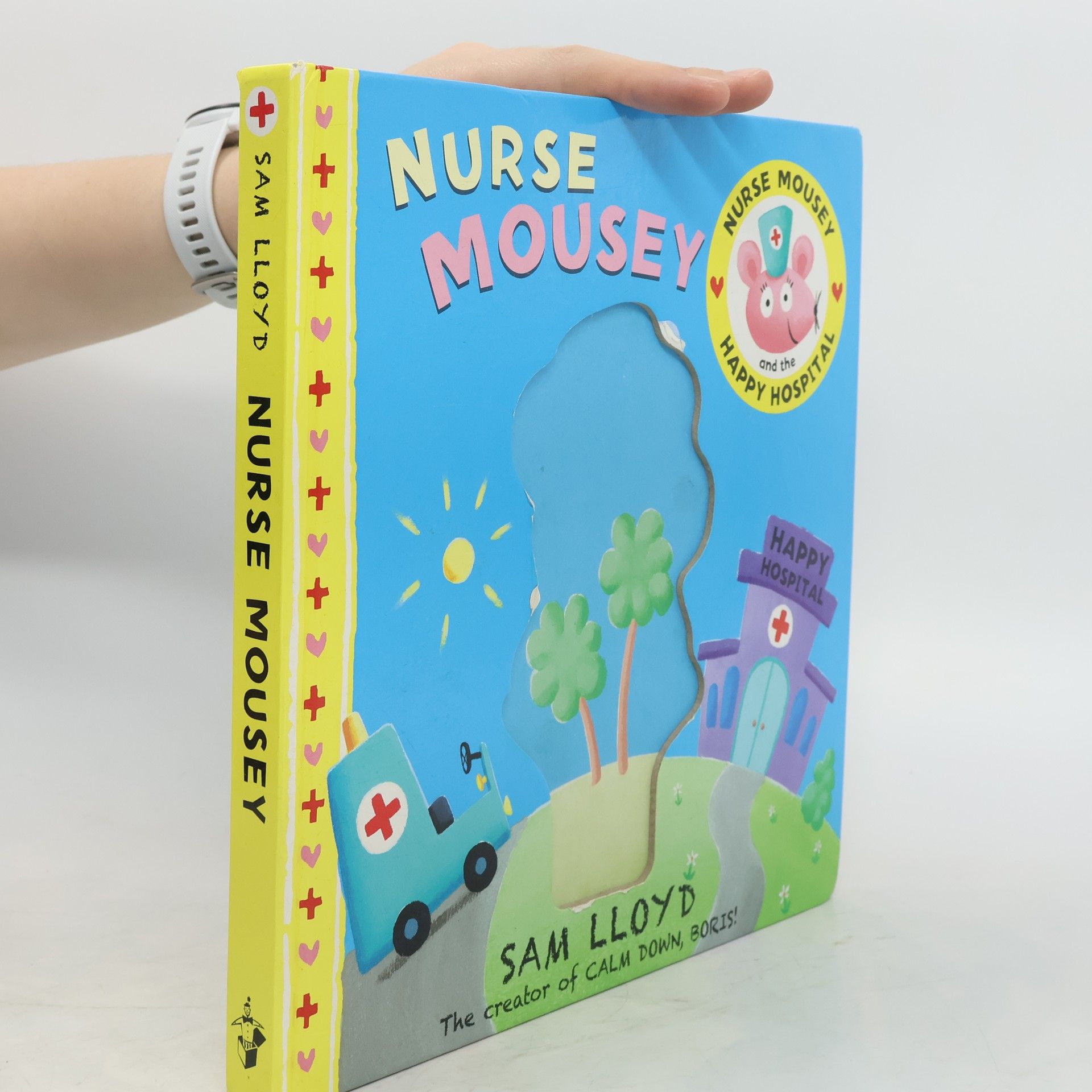 Sam Lloyd Nurse Mousey and the Happy Hospital