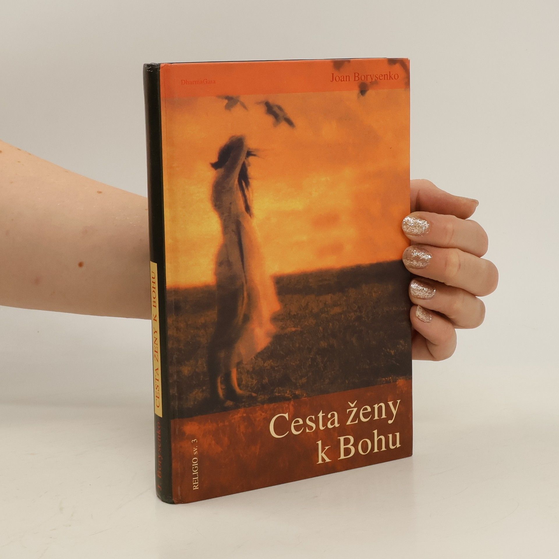 Joan Borysenko Cesta ženy k Bohu
