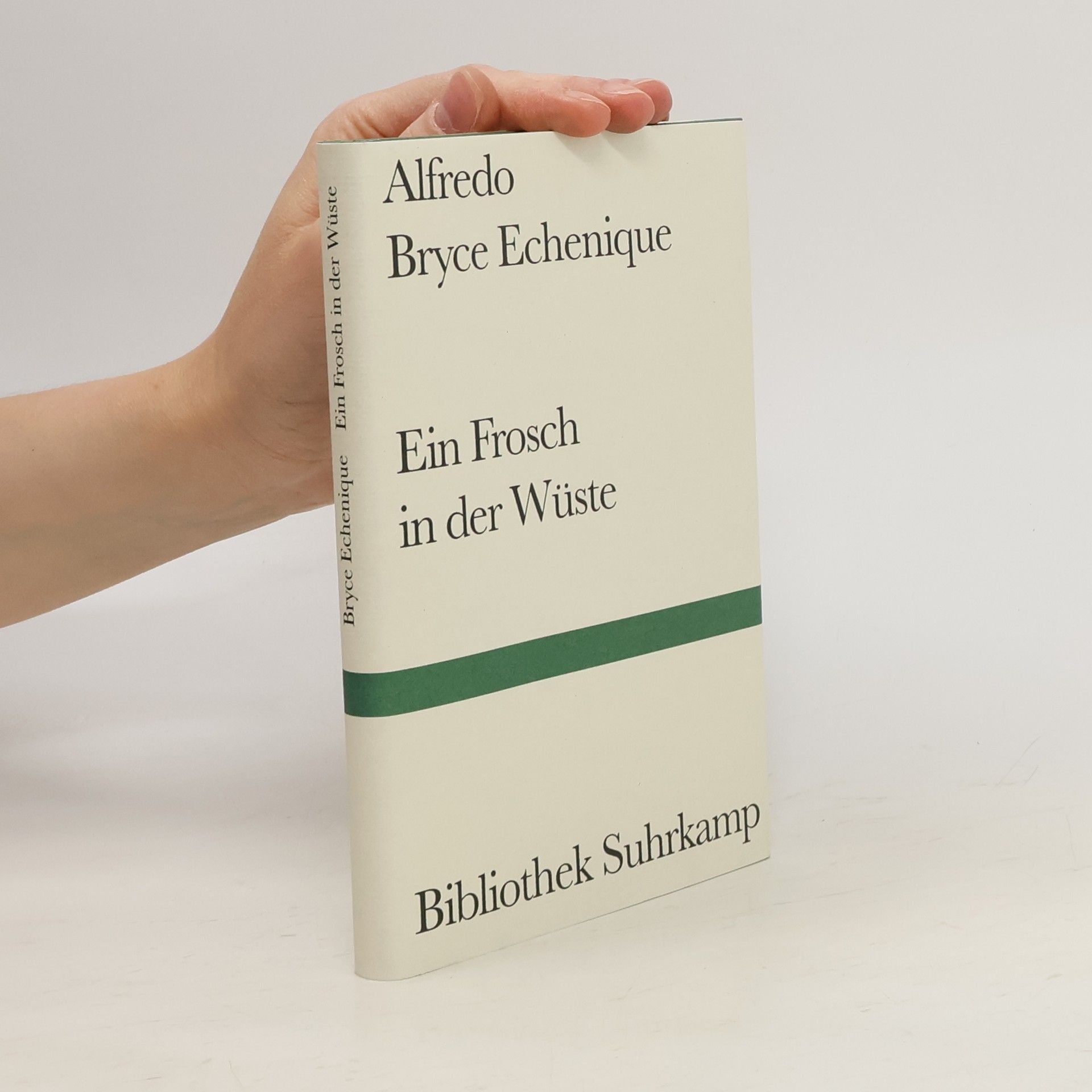 Alfredo Bryce Ein Frosch in der Wüste