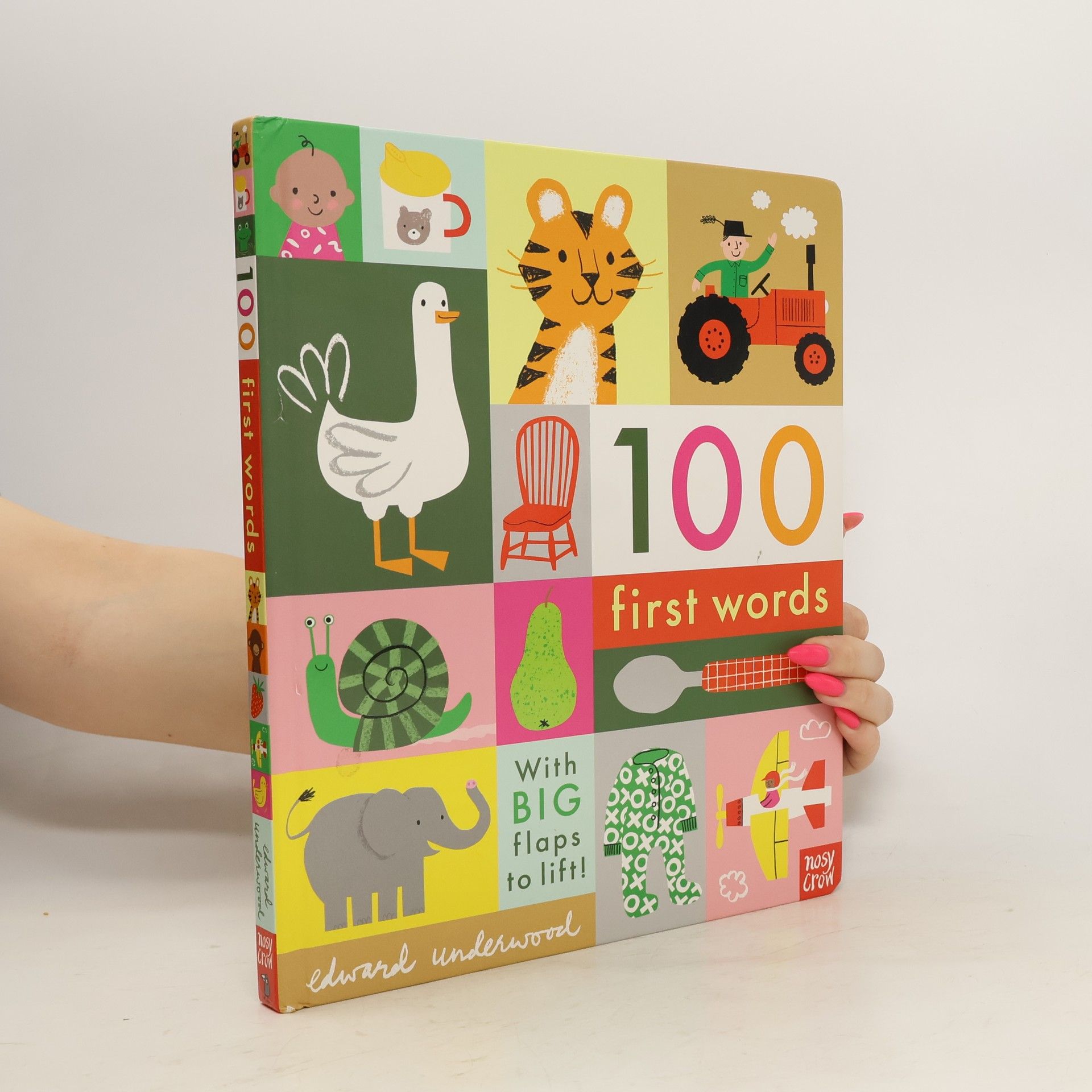 AA.VV. 100 first words