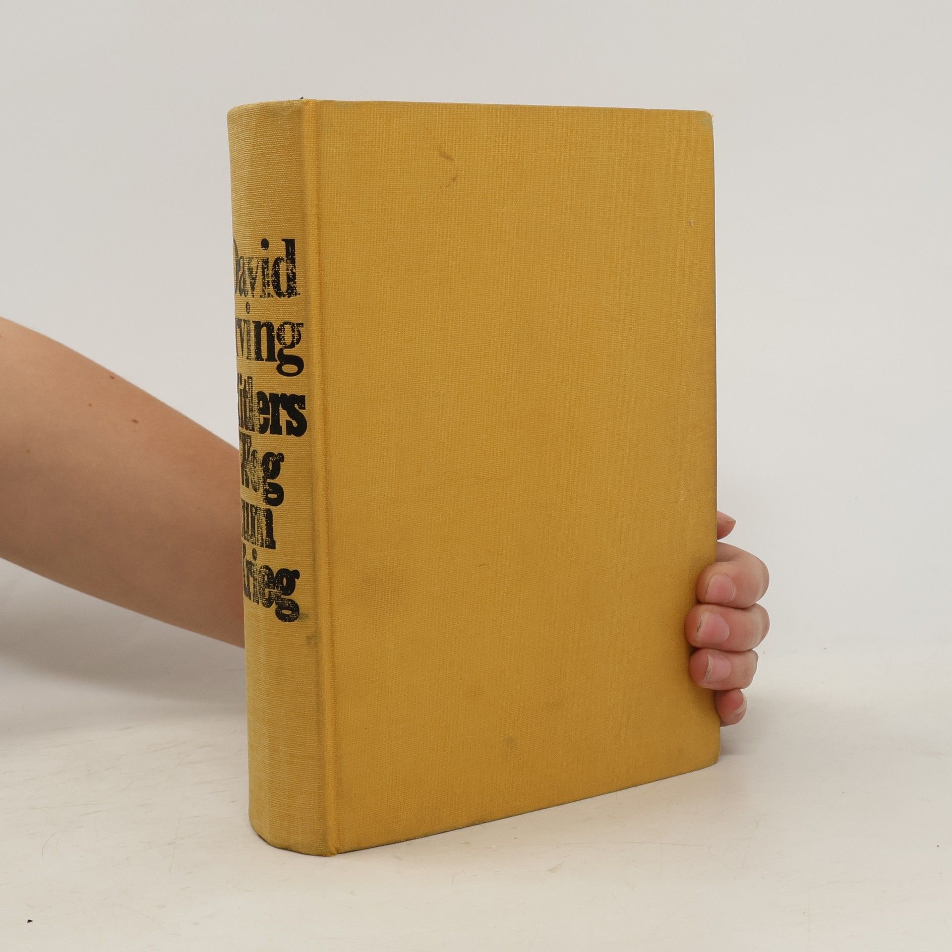 David John Cawdell Irving Hitlers Weg zum Krieg