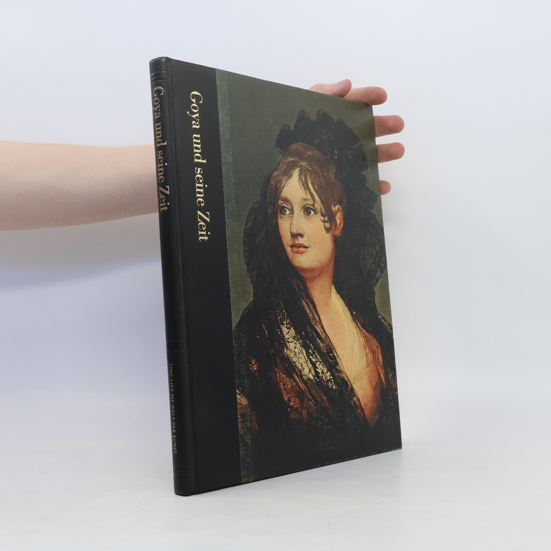 Richard Schickel Goya und seine Zeit