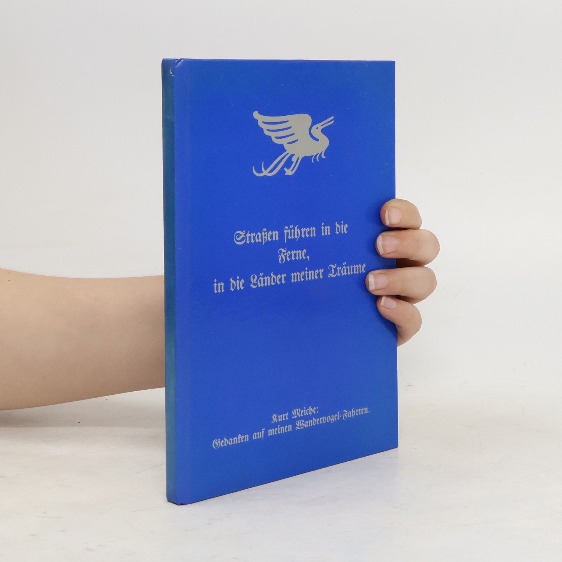 Straßen führen in die Ferne, in die Länder meiner Träume