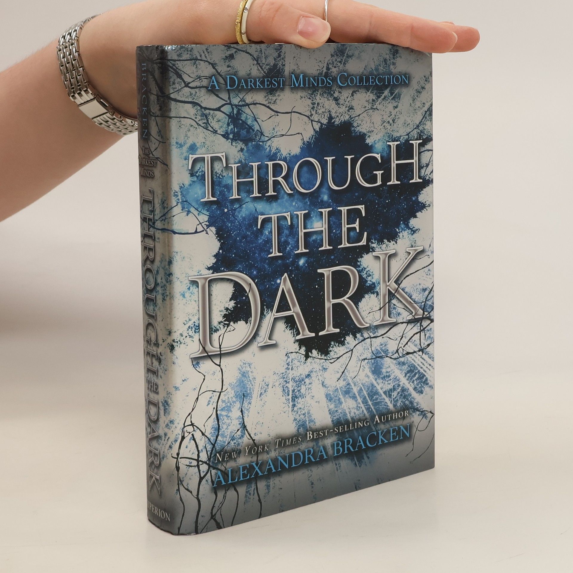 Alexandra Bracken Through the Dark.