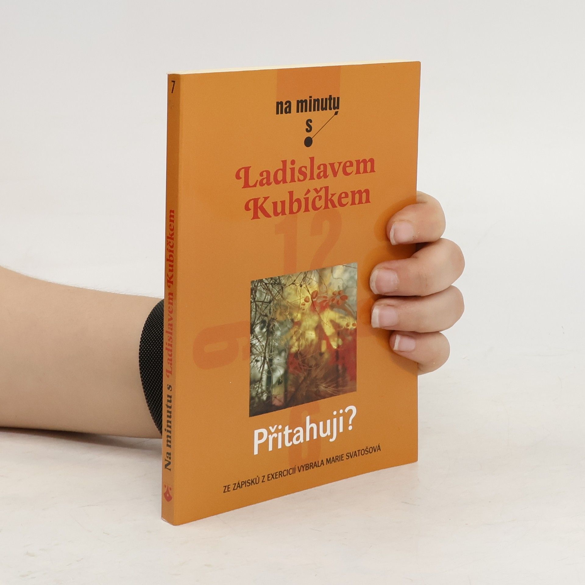 Ladislav Kubíček Přitahuji?