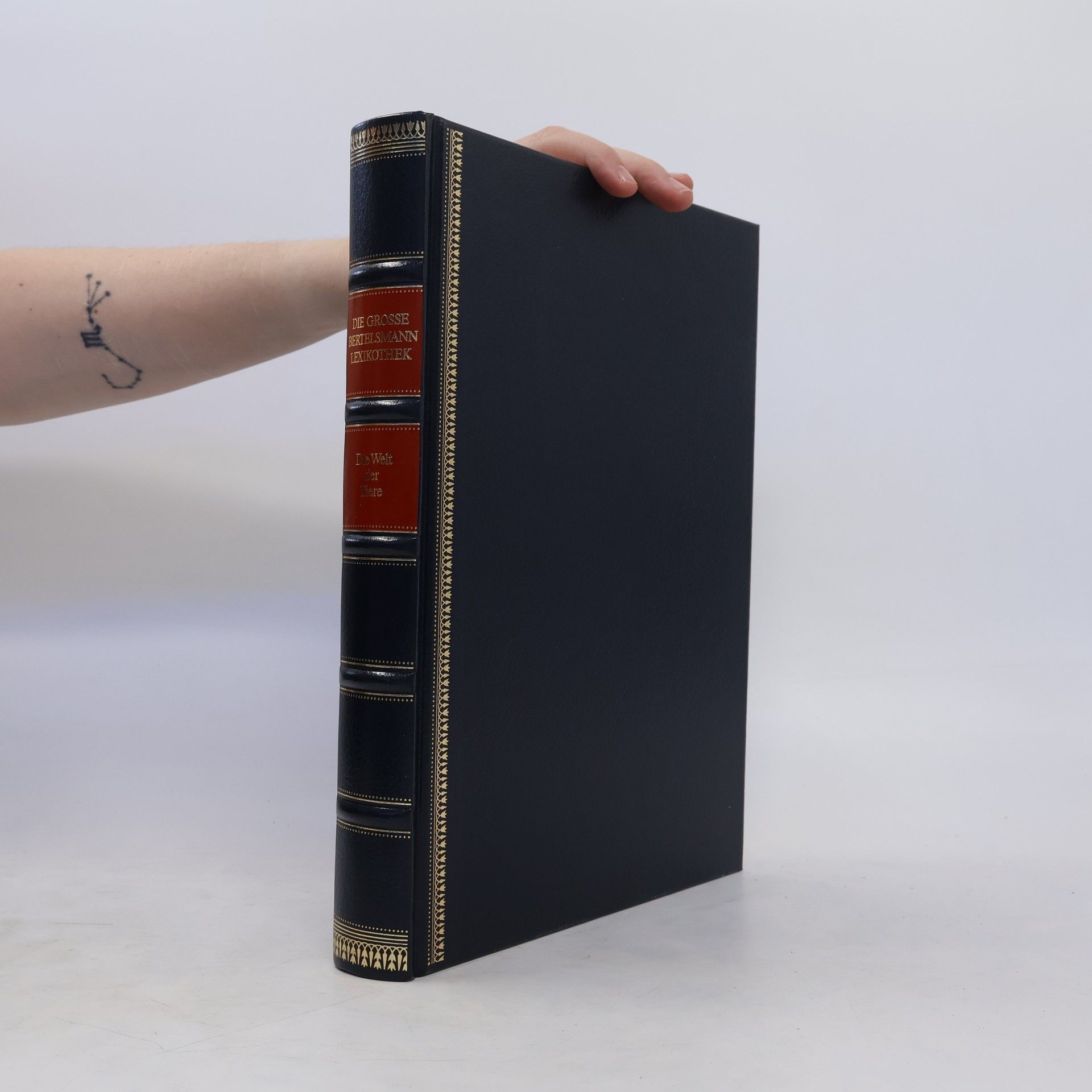 Collectif d'auteurs Die Welt der Tiere