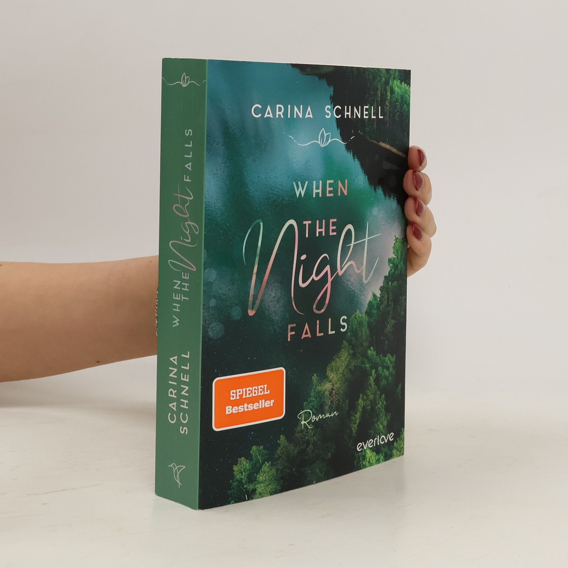 Carina Schnell When the Night Falls