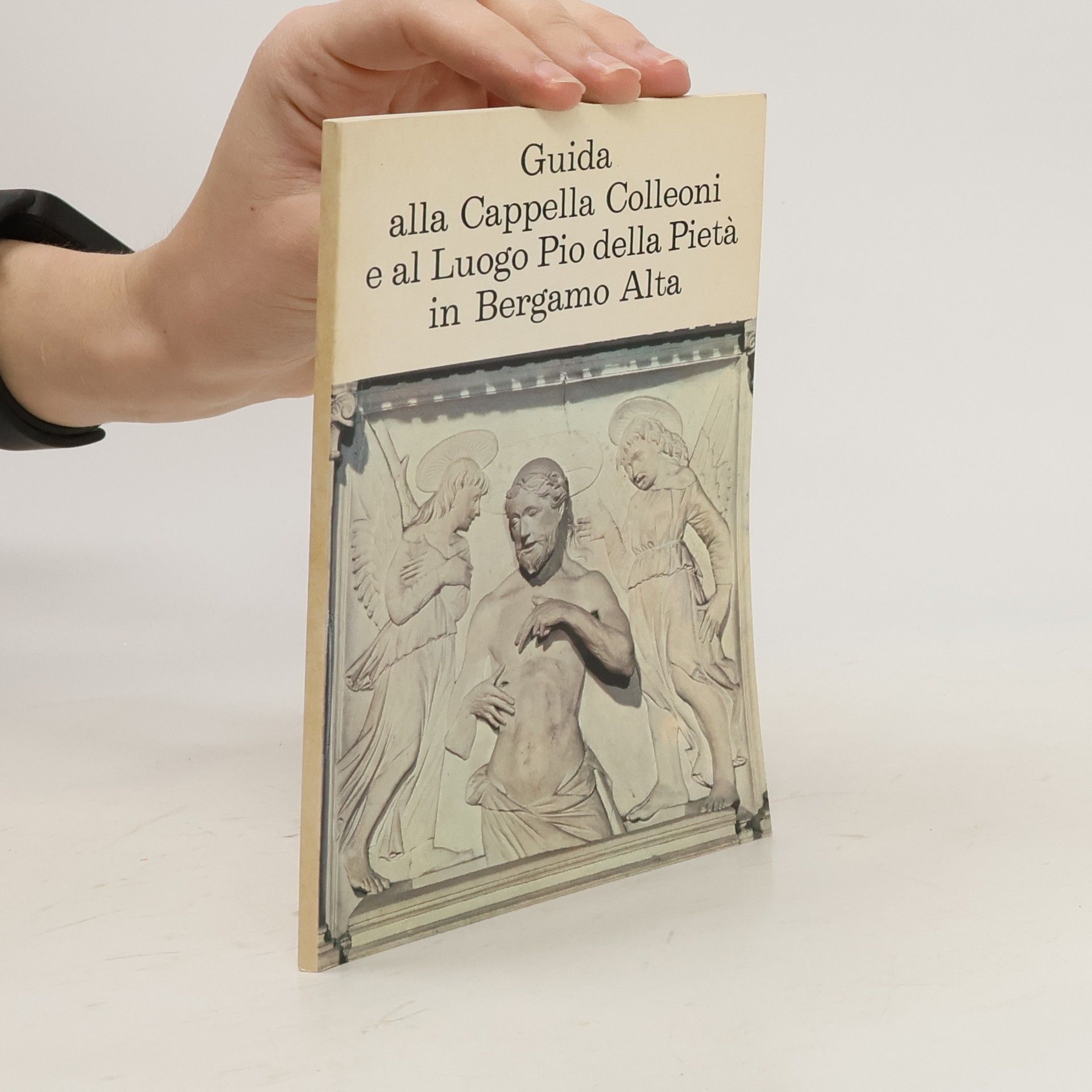 AA.VV. Guida alla Cappella Colleoni e al Luogo Pio della Pietà in Bergamo Alta
