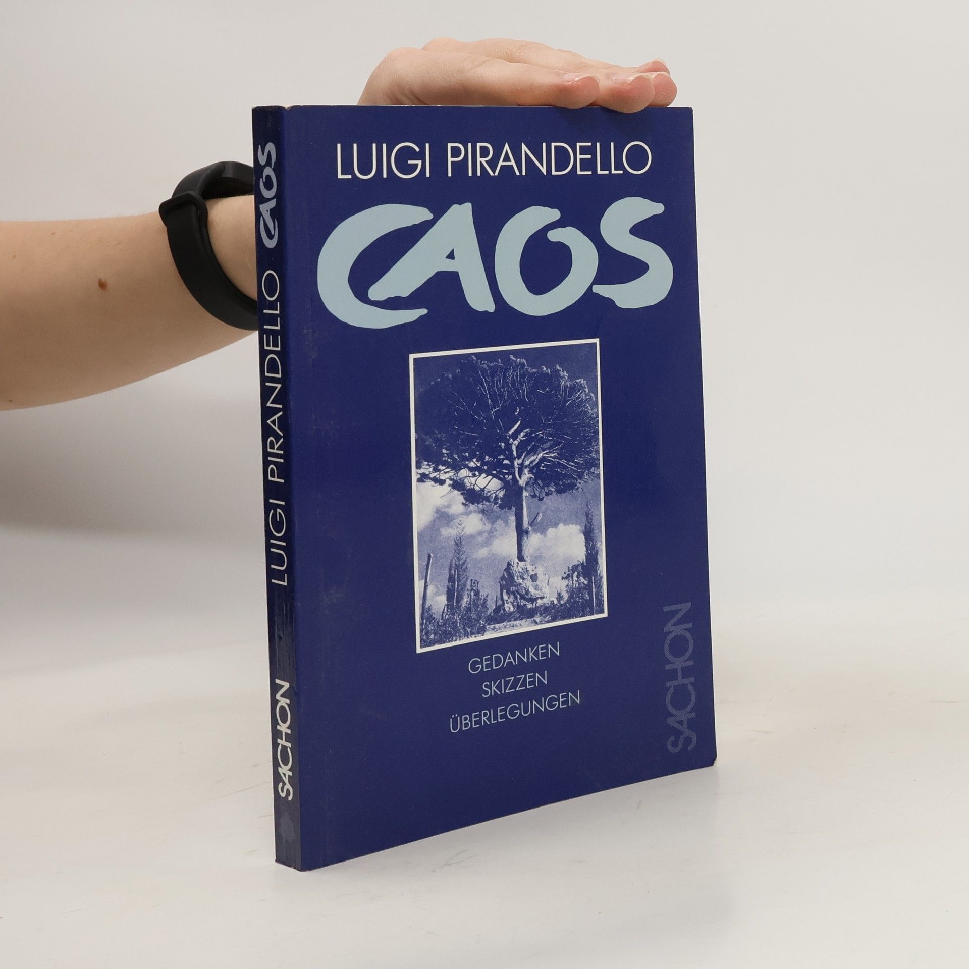 Luigi Pirandello Caos