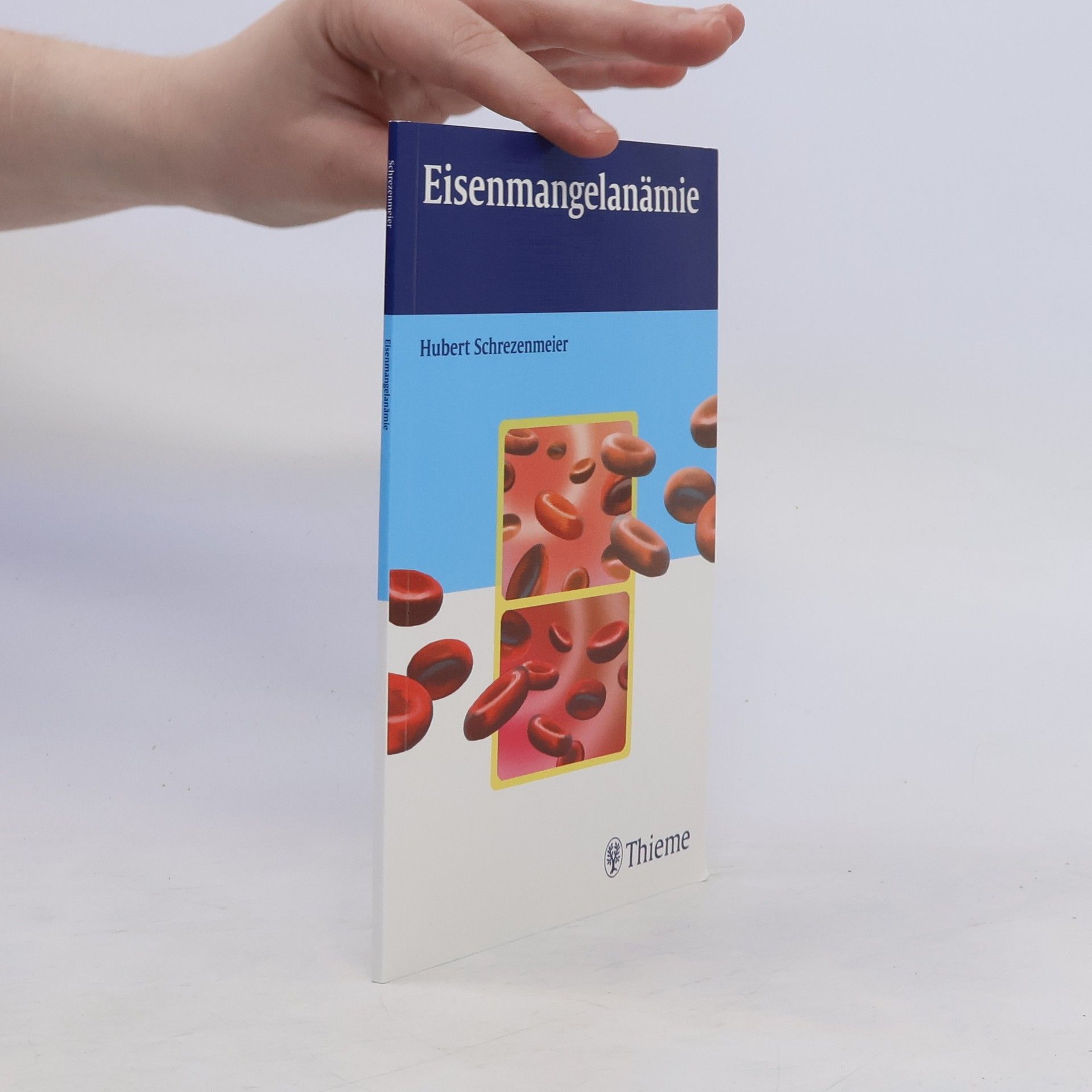 Hubert Schrezenmeier Eisenmangelanämie