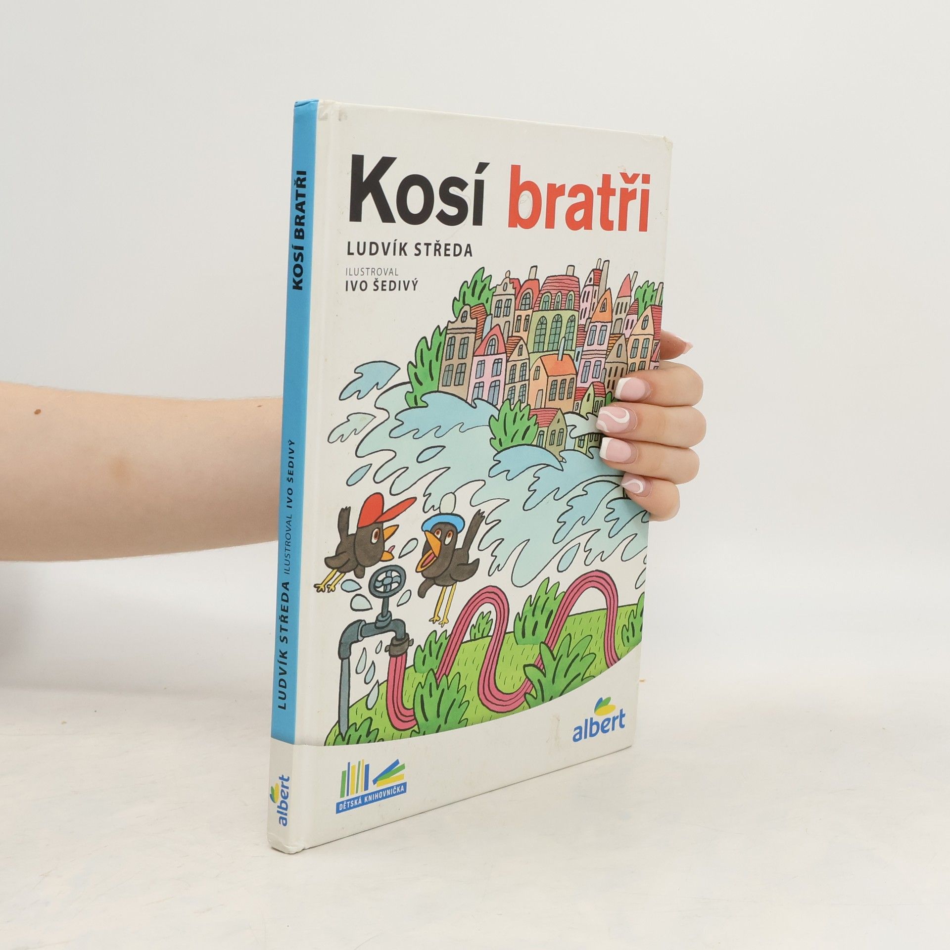 Ludvík Středa Kosí bratři