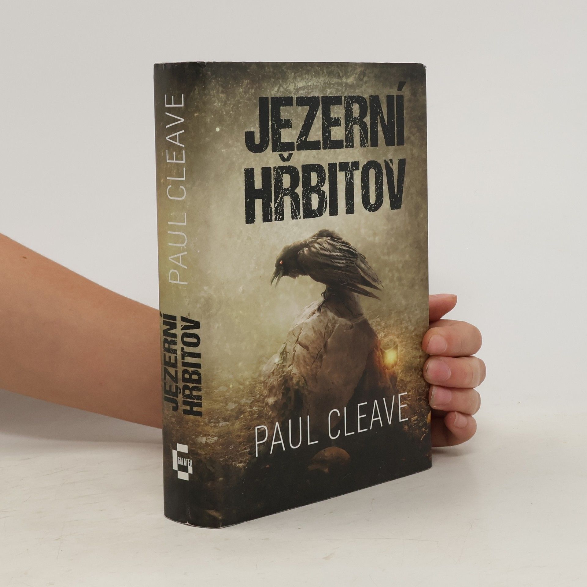 Paul Cleave Jezerní hřbitov