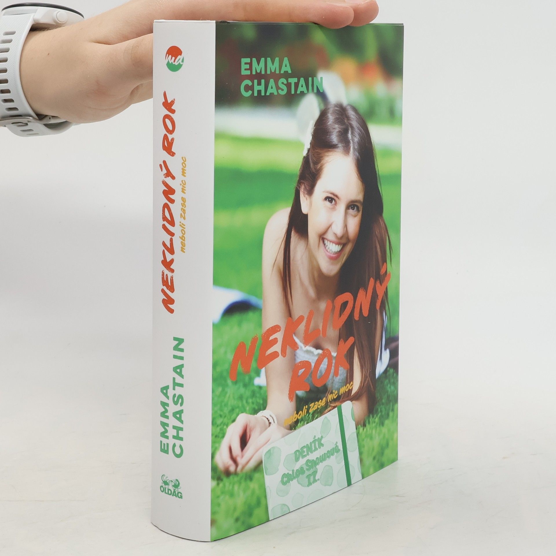 Emma Chastain Neklidný rok: neboli Zase nic moc