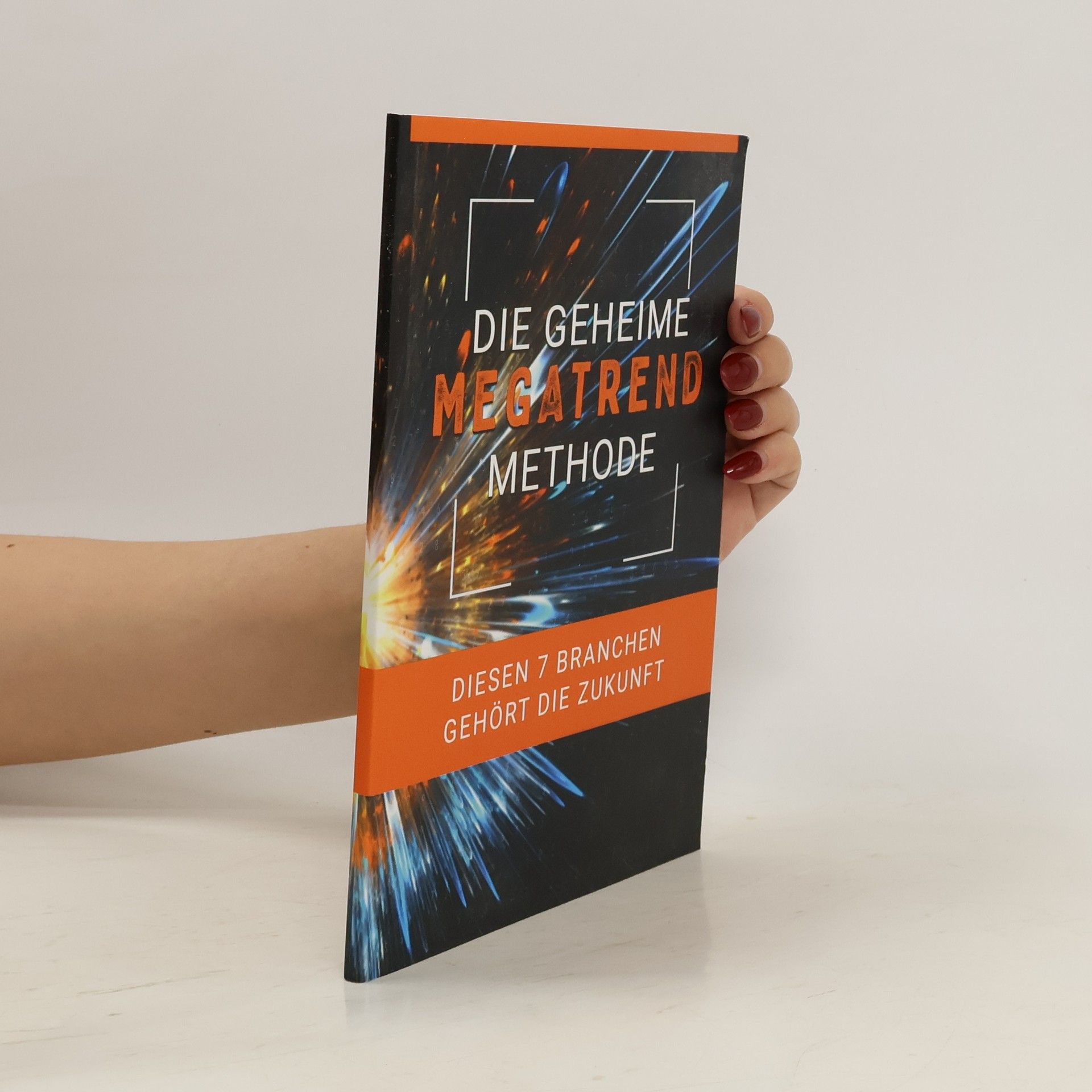 Volkmar Michler Die geheime Megatrend Methode