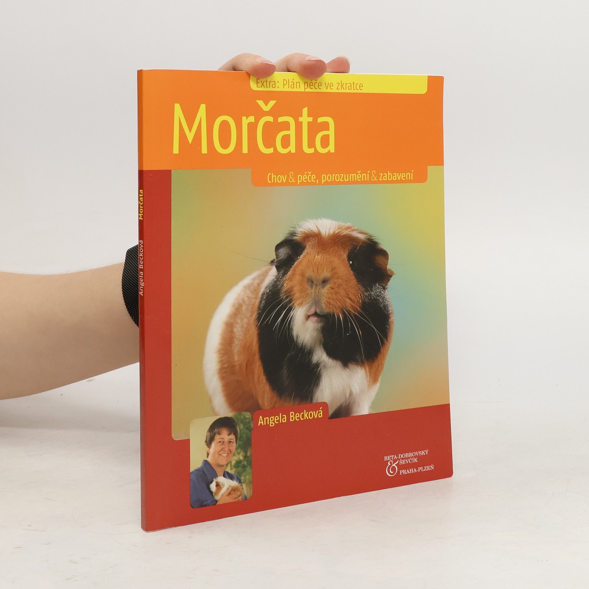 Angela Beck Morčata. Chov & péče, porozumění & zabavení