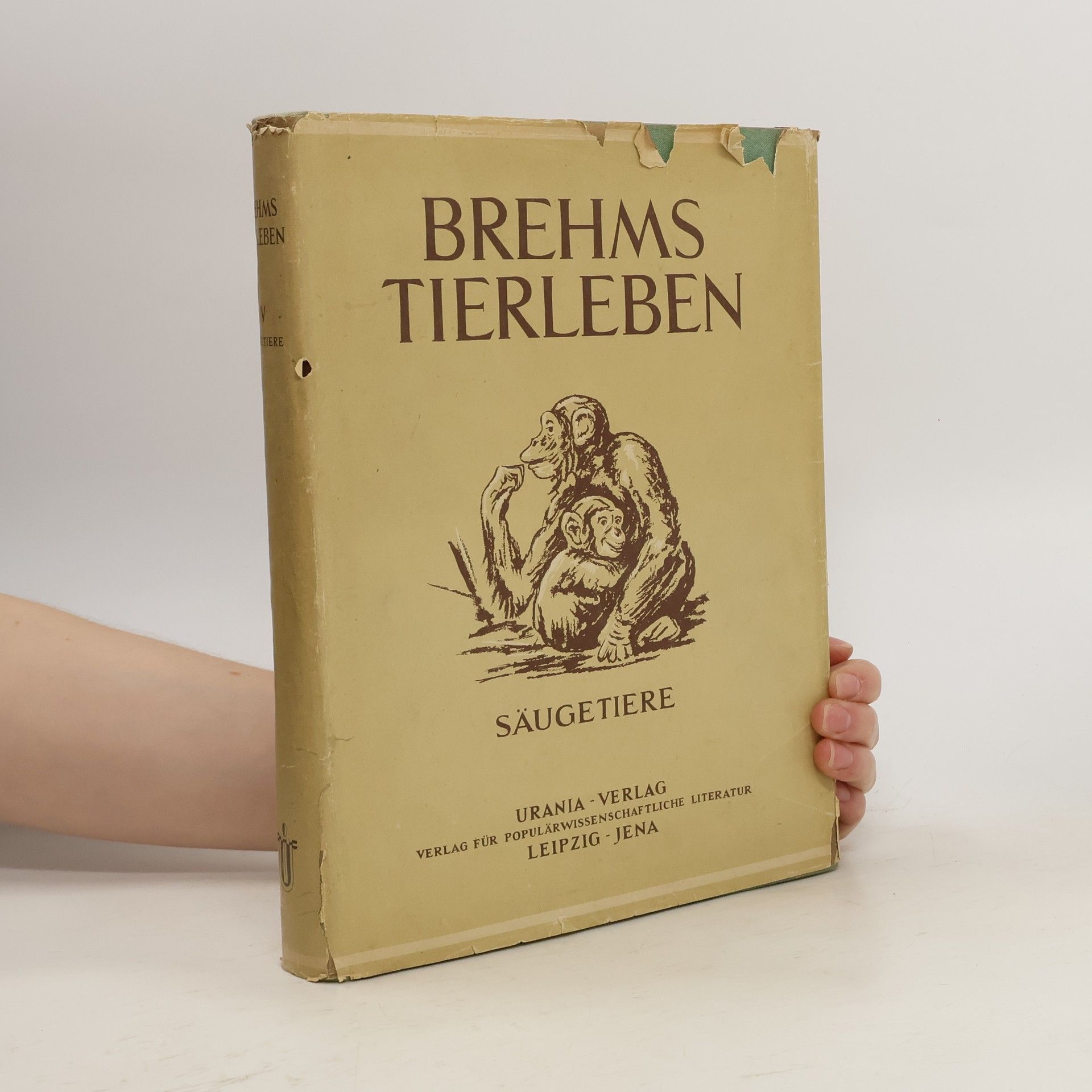 Walter Rammer Brehms Tierleben IV. Säugetiere