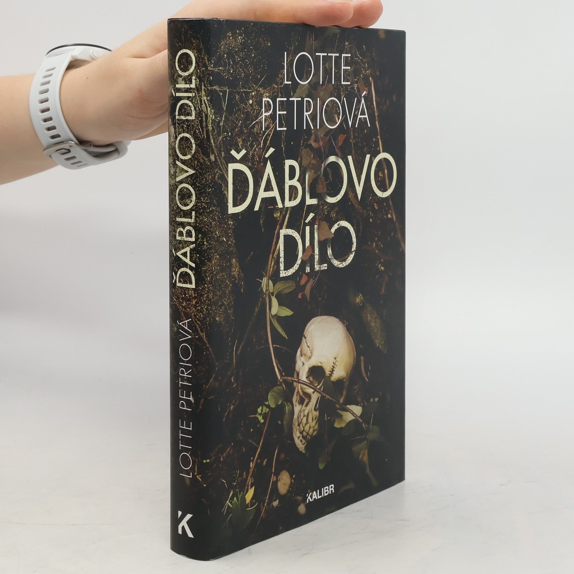 Lotte Petri Ďáblovo dílo
