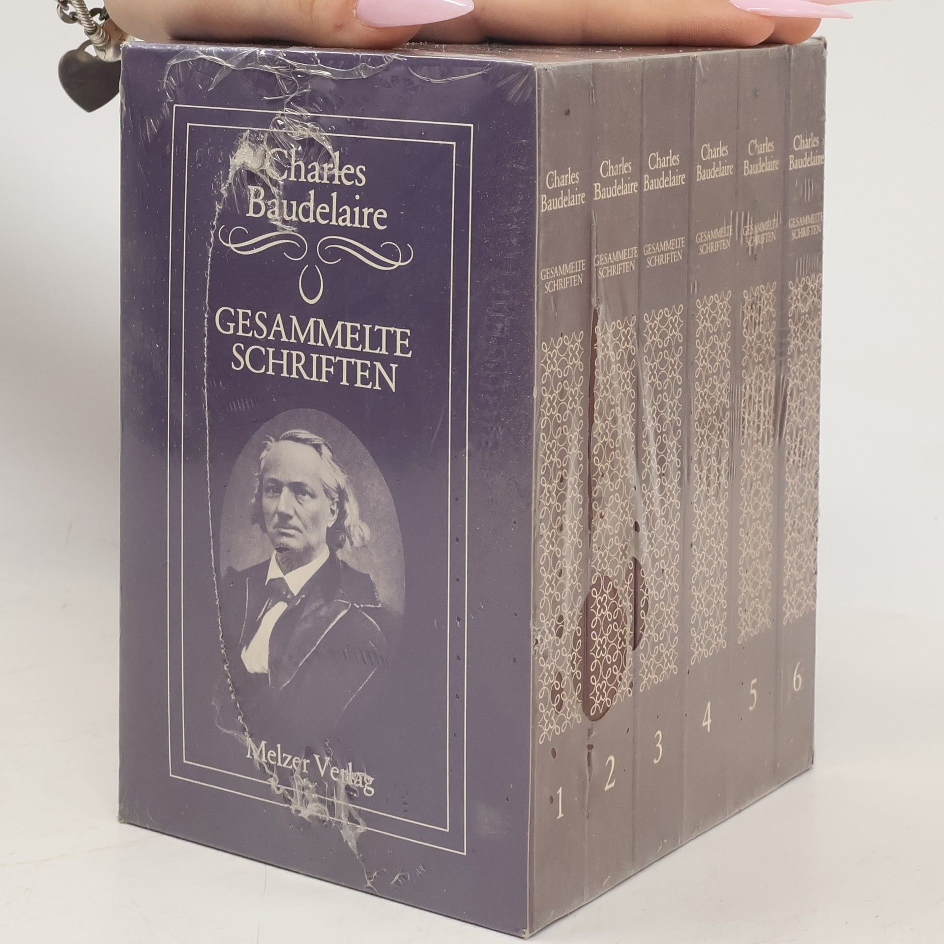 Charles Baudelaire Gesammelte Schriften 1-6
