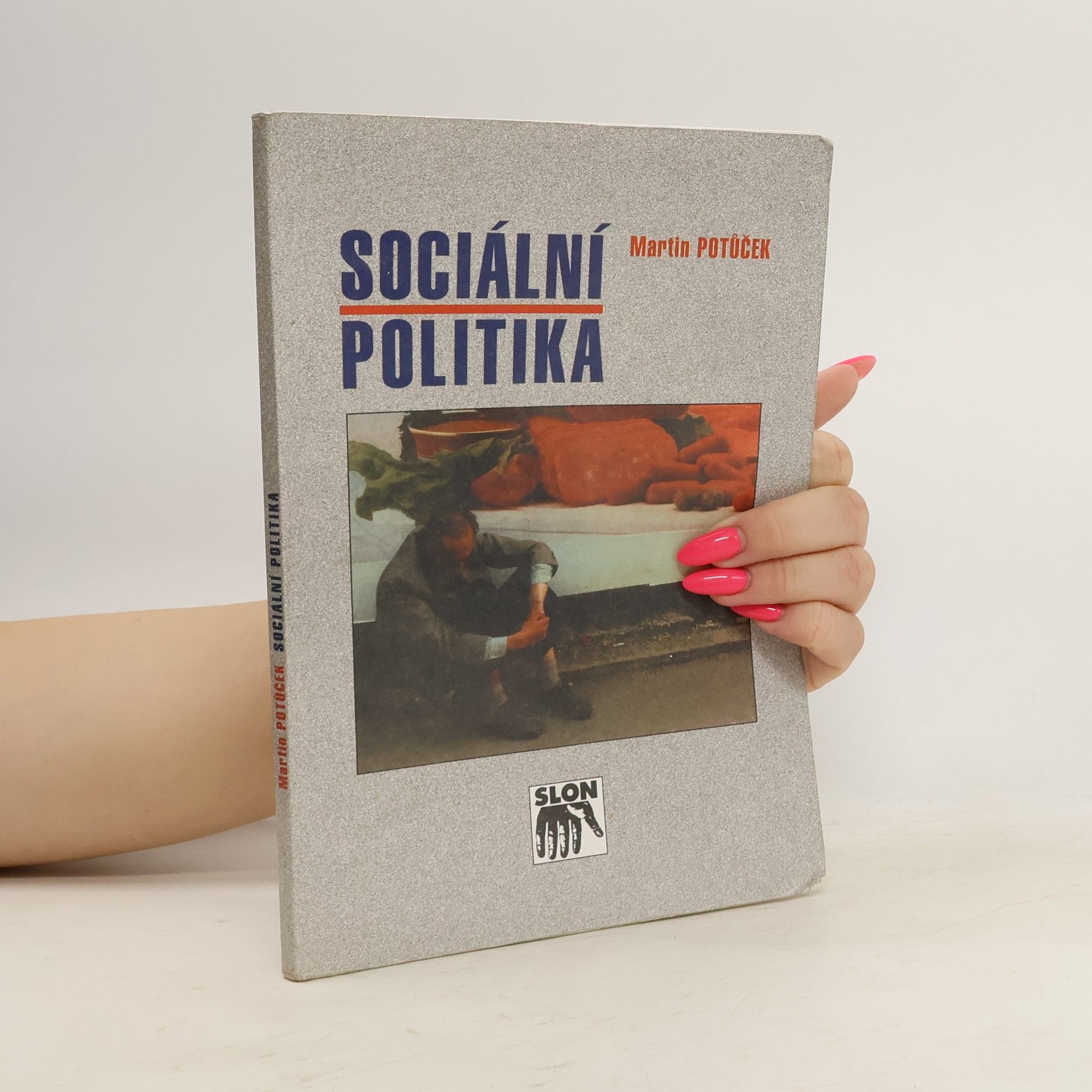 Martin Potůček Sociální politika