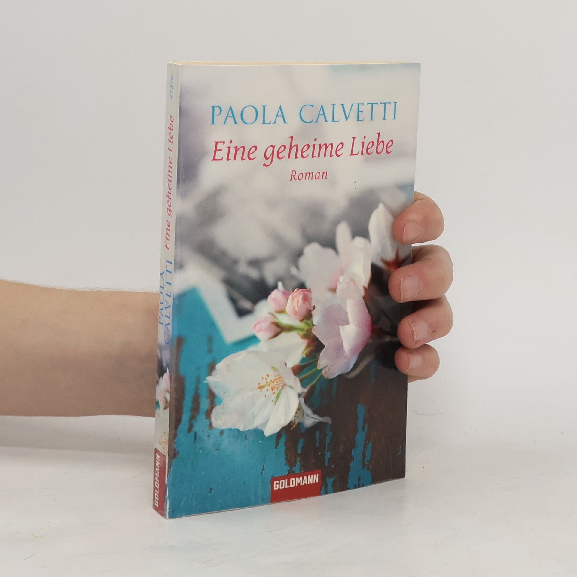 Paola Calvetti Eine geheime Liebe