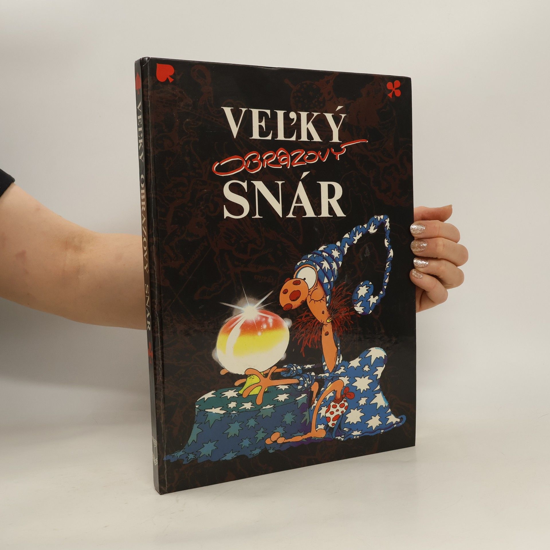 AA.VV. Veľký obrazový snár