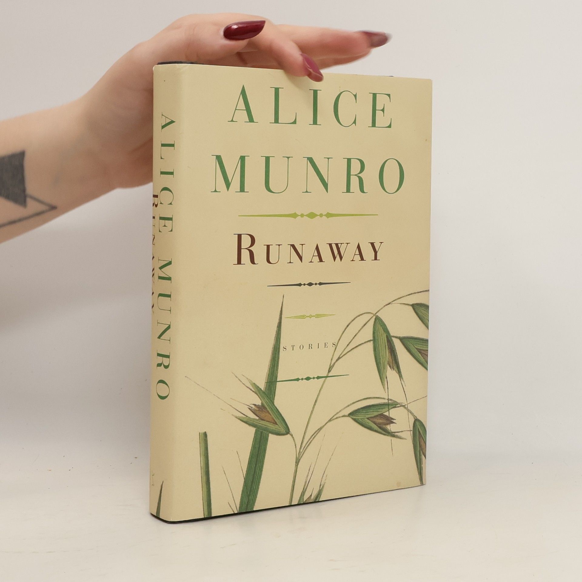 Alice Munro Runaway
