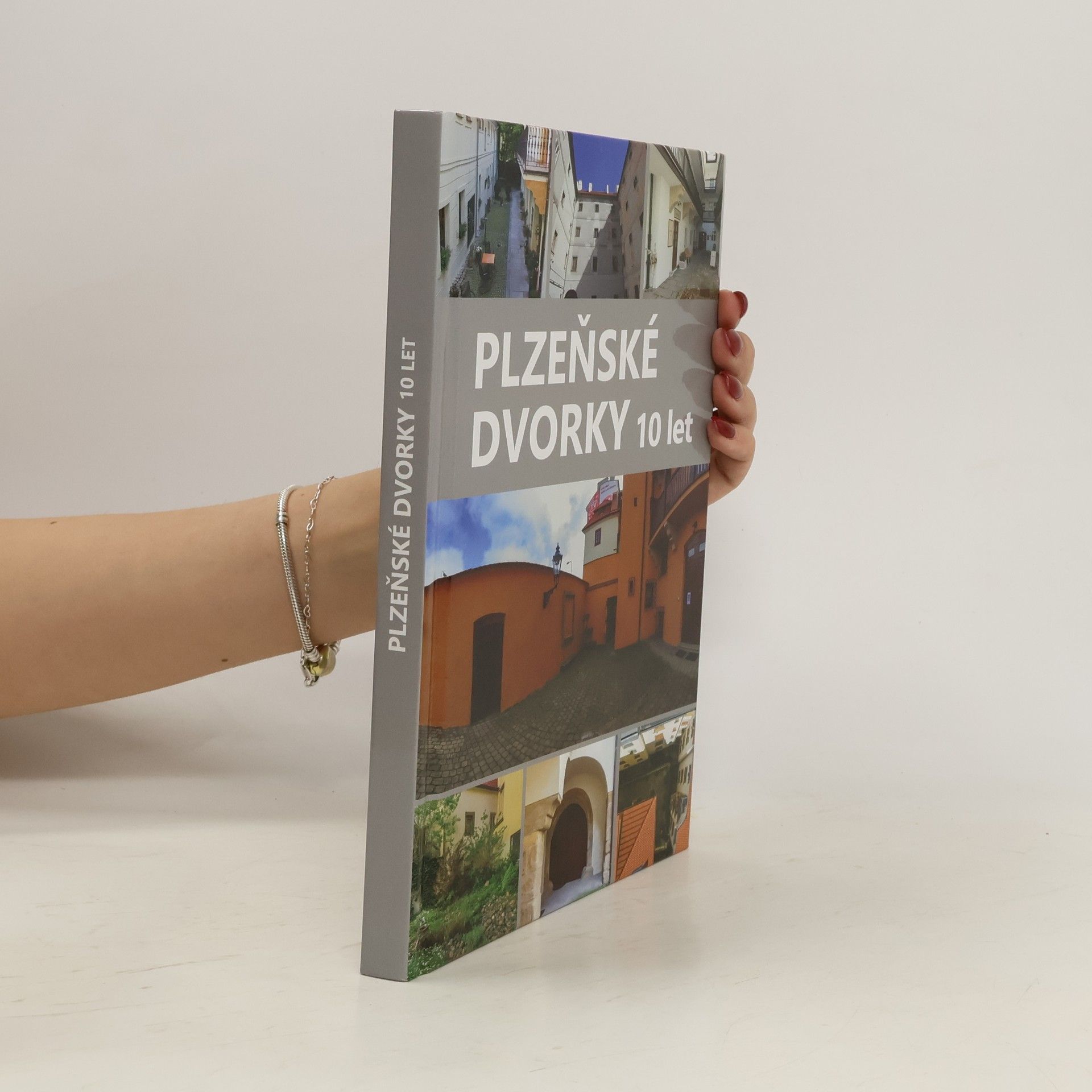 Anna Hostičková Plzeňské dvorky. 10 let