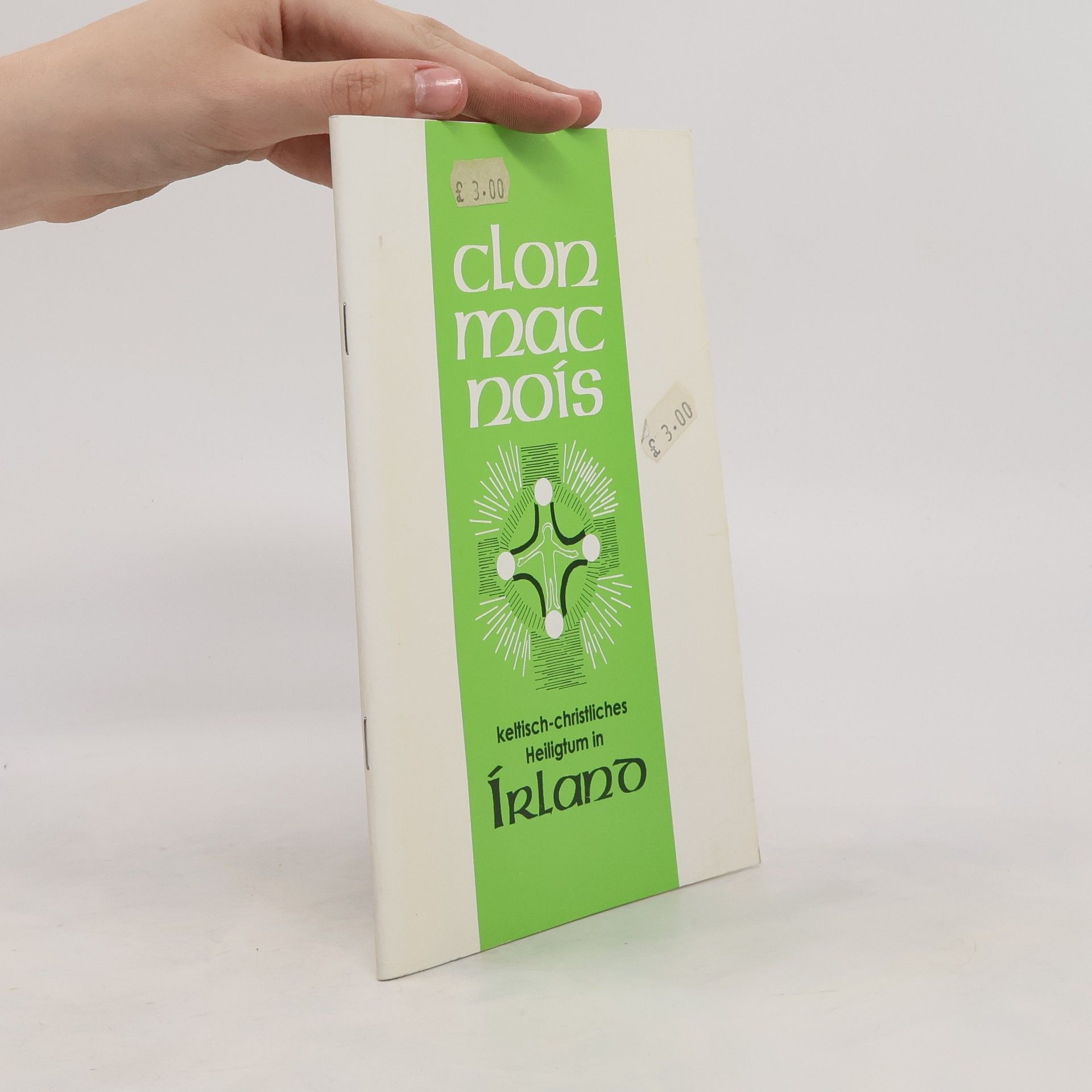 Autorenkollektiv Clon mac nois. Keltisch-christliches Heiligtum in Írland