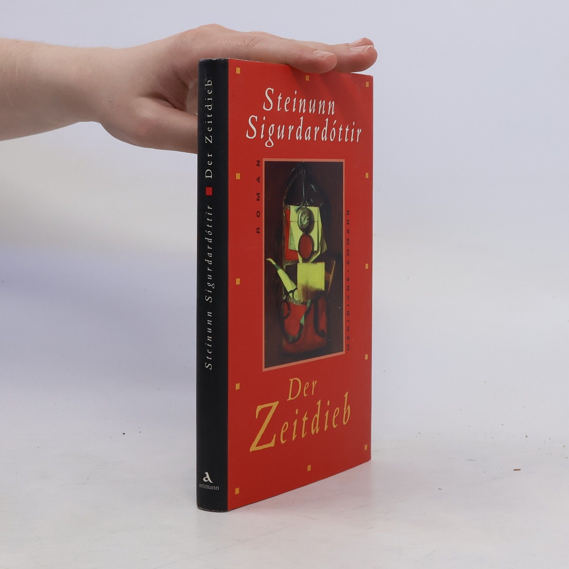 Steinunn Sigurðardóttir Der Zeitdieb