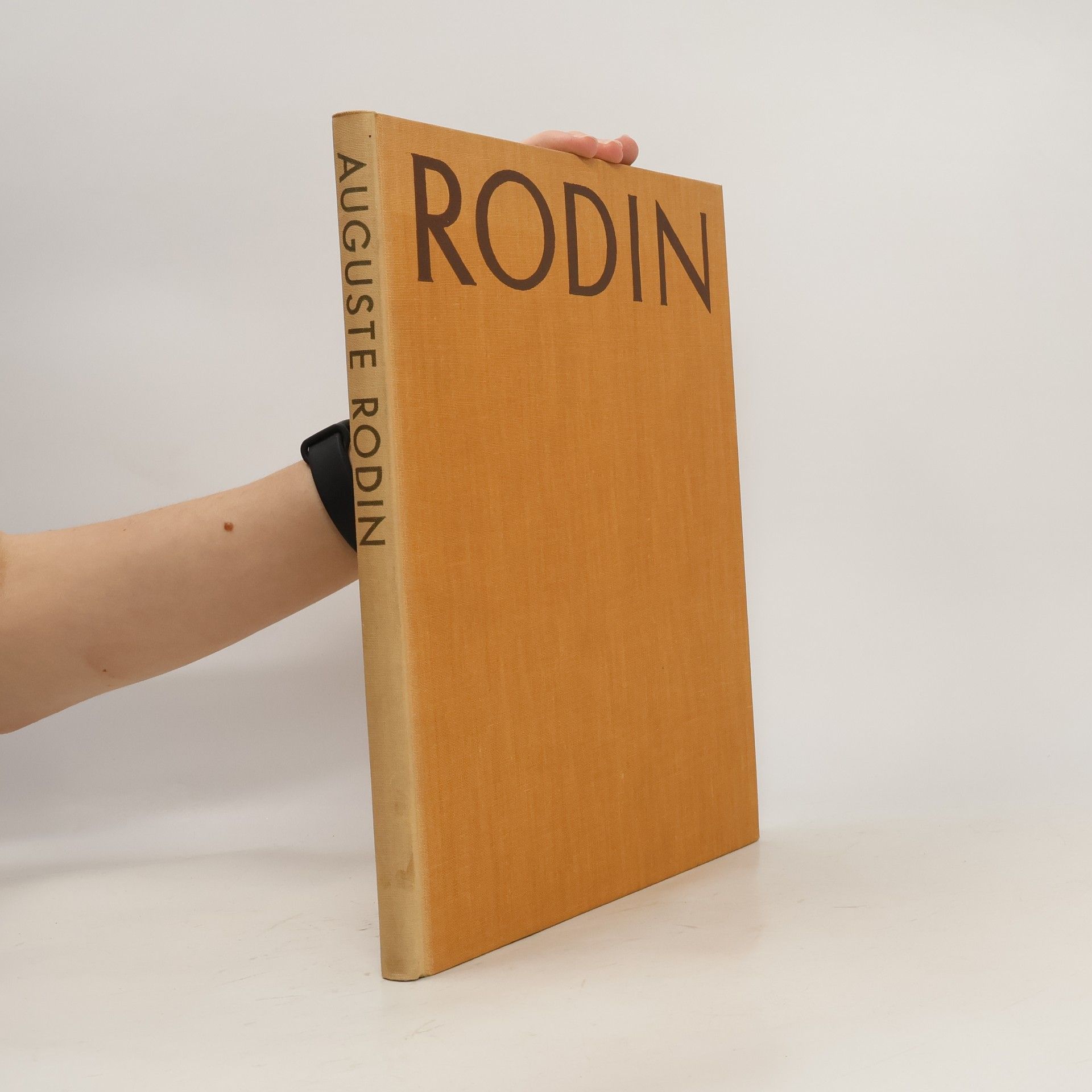 Auguste Rodin Rodin